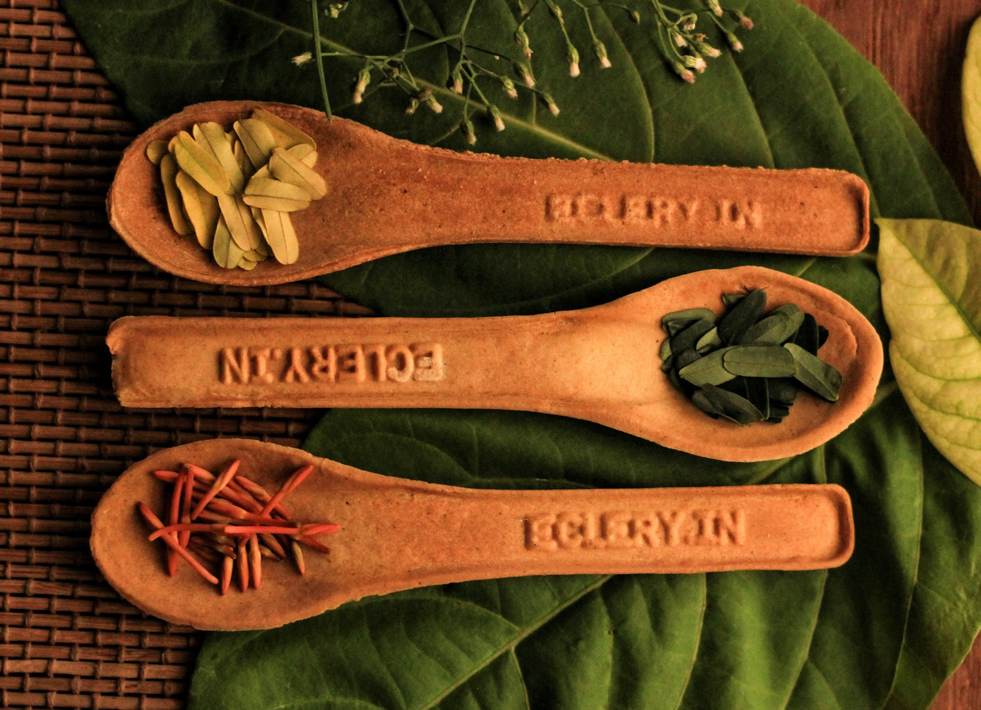 Three wooden spoons with herbs on top of a green leaf