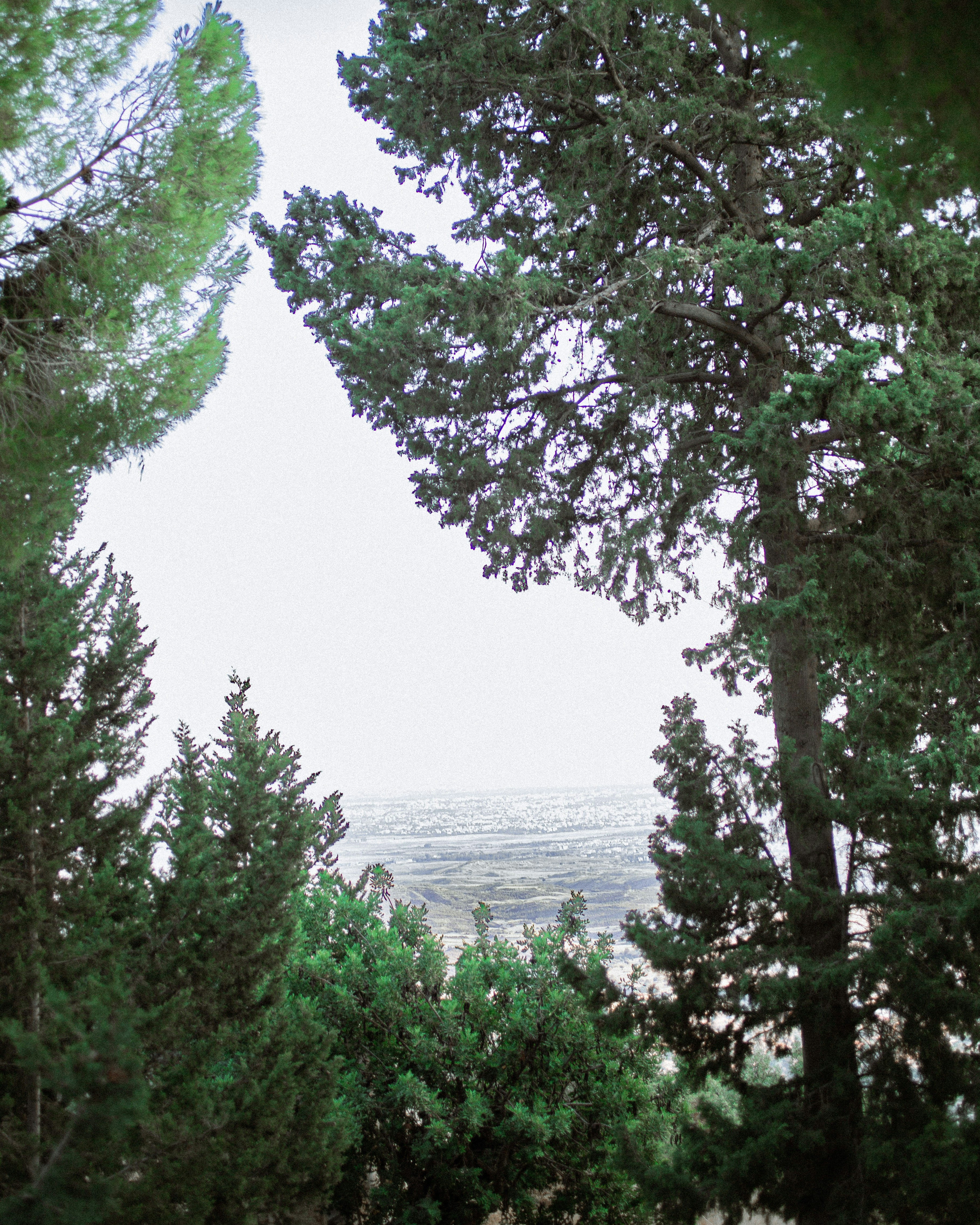 Photo by chriscreations__