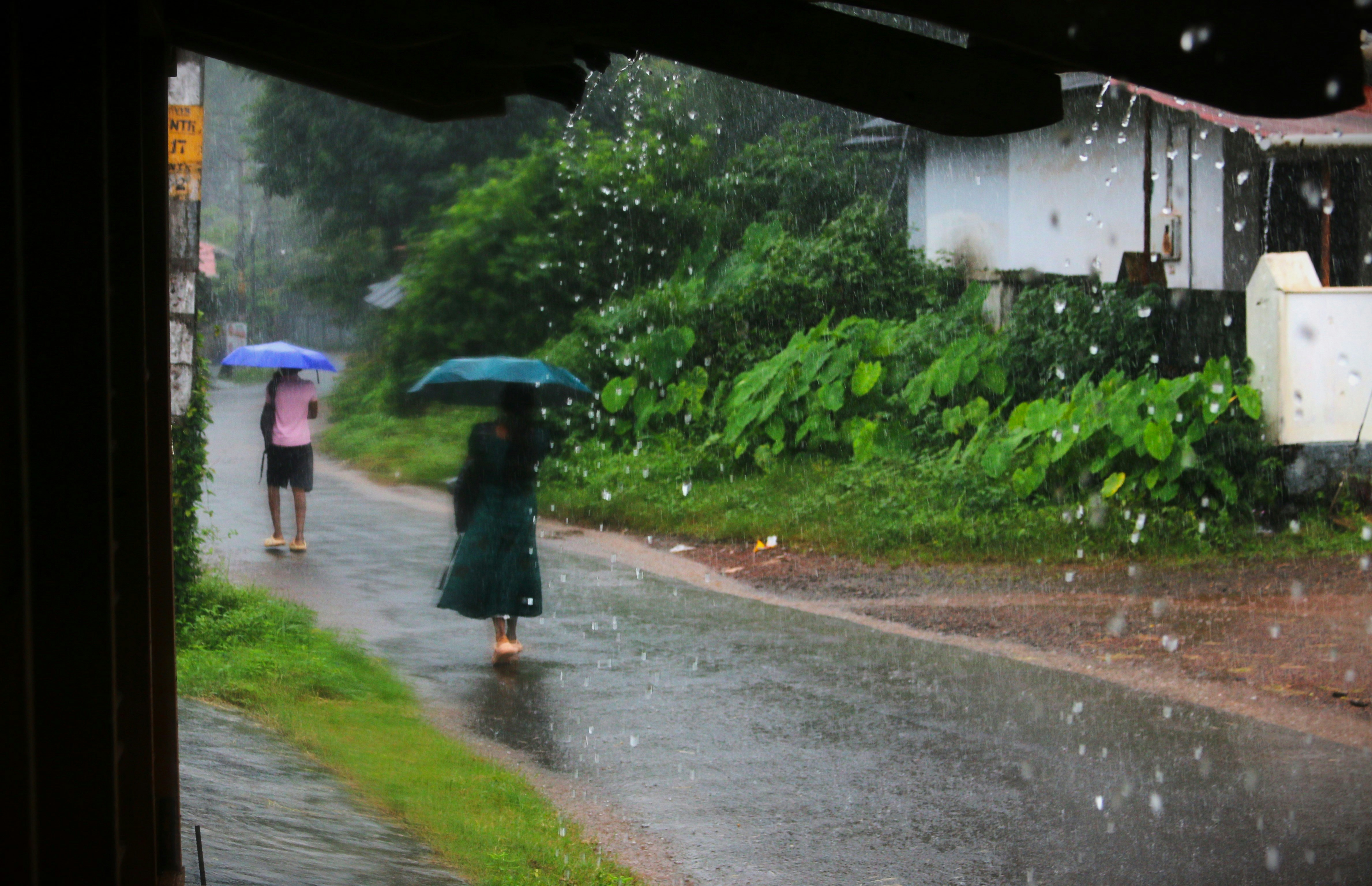 A group of people walking down a rain soaked road