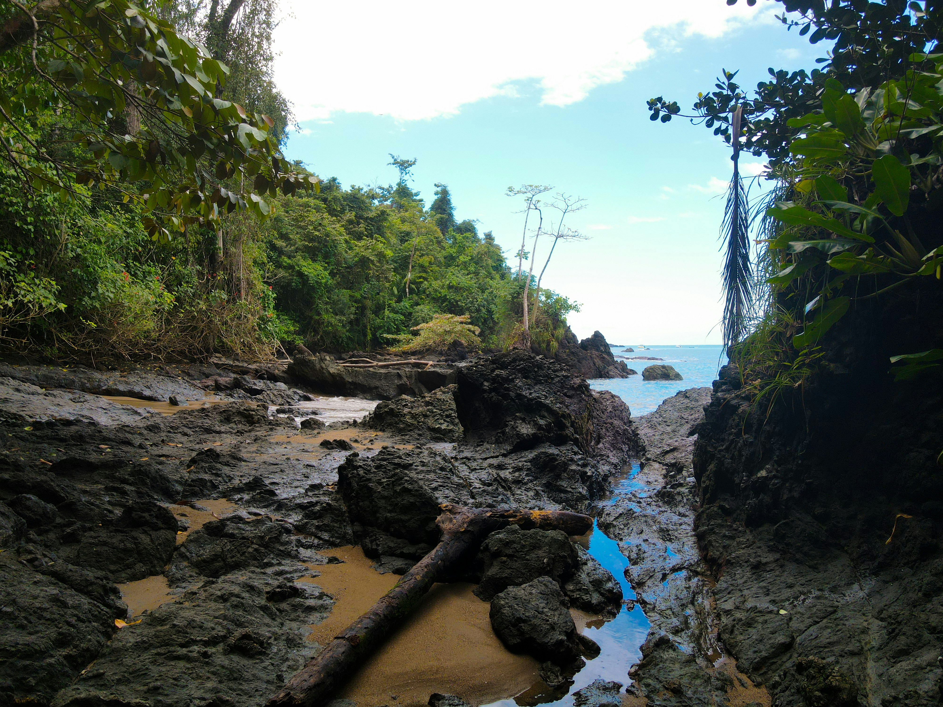 Photo by florian_delee