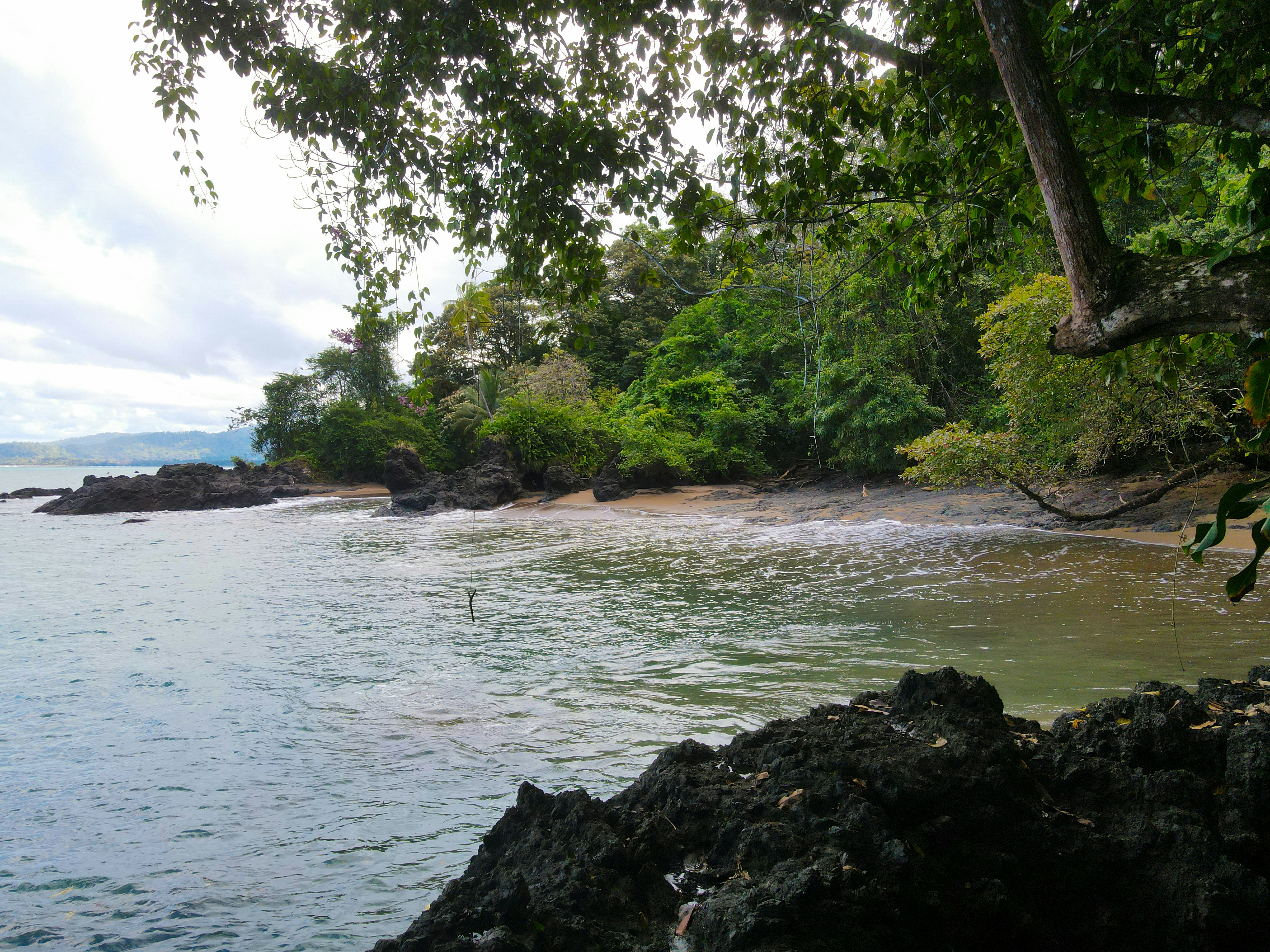 Photo by florian_delee