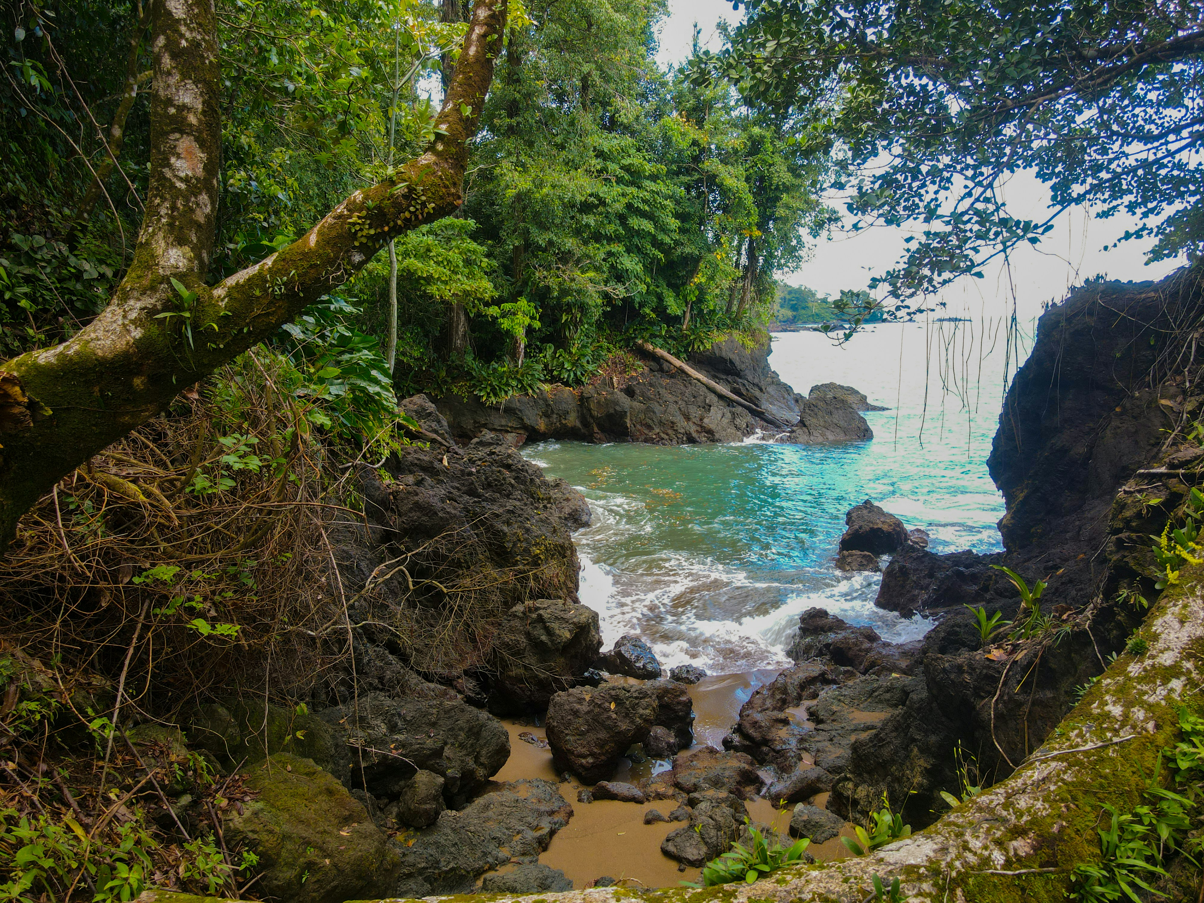 Photo by florian_delee