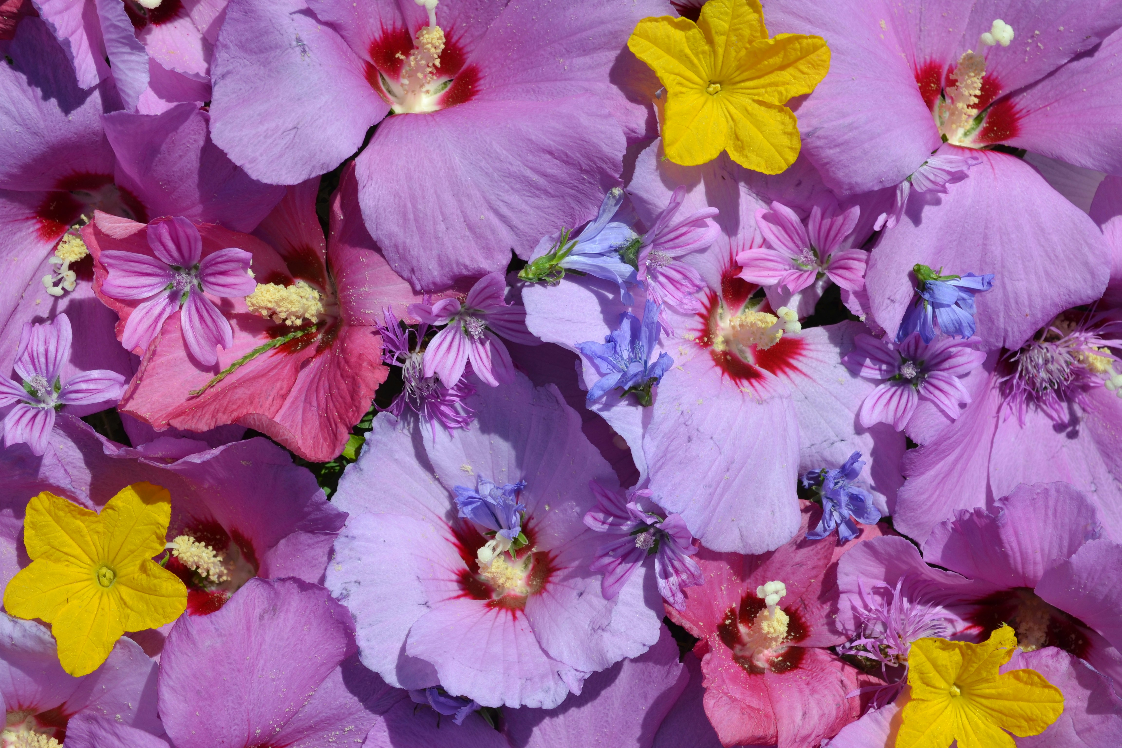 Photo by eugenegrunge