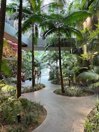 A walkway surrounded by palm trees in a building