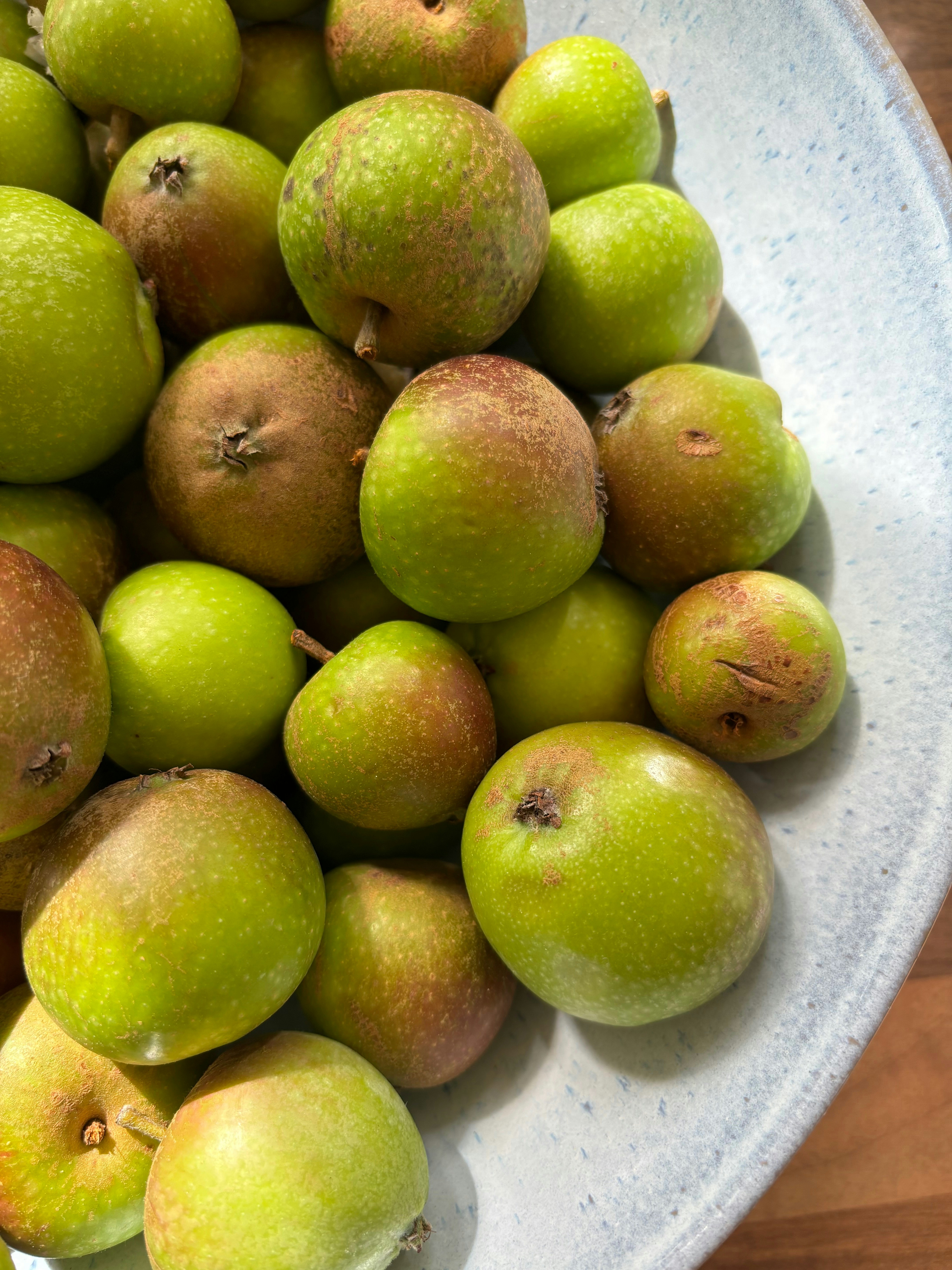 Photo by msmelaniesykes