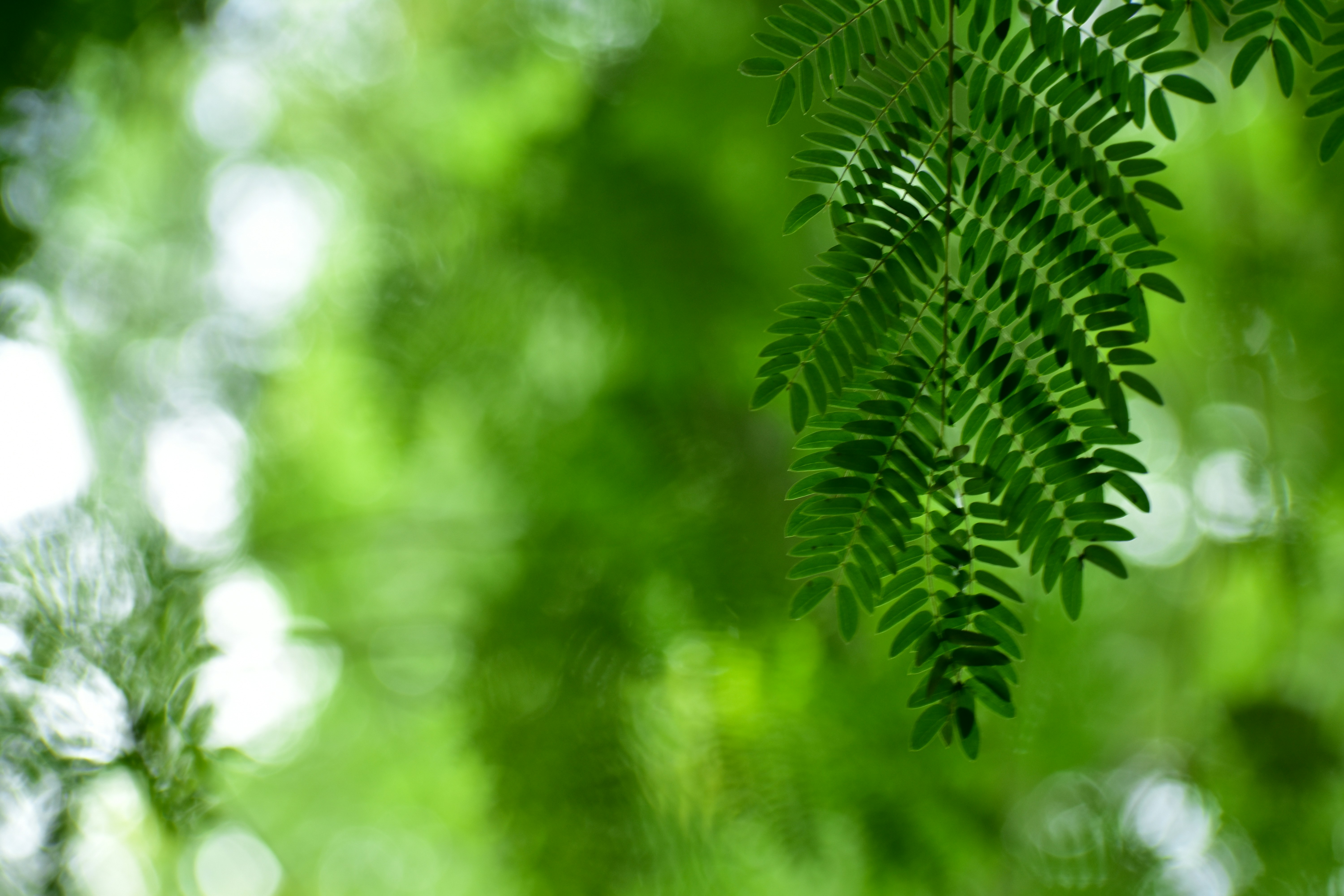 Photo by neelakshi_singh_