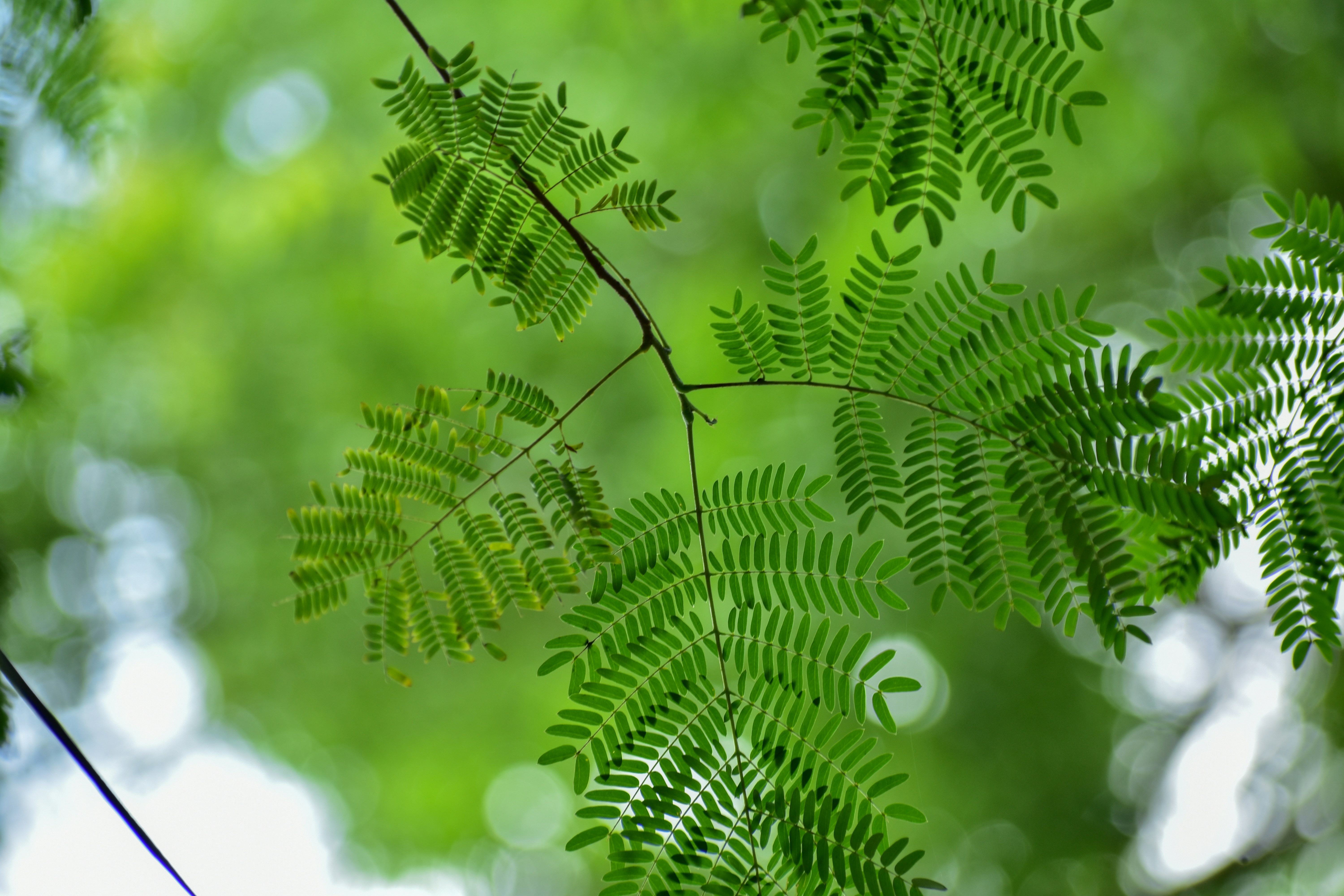 Photo by neelakshi_singh_