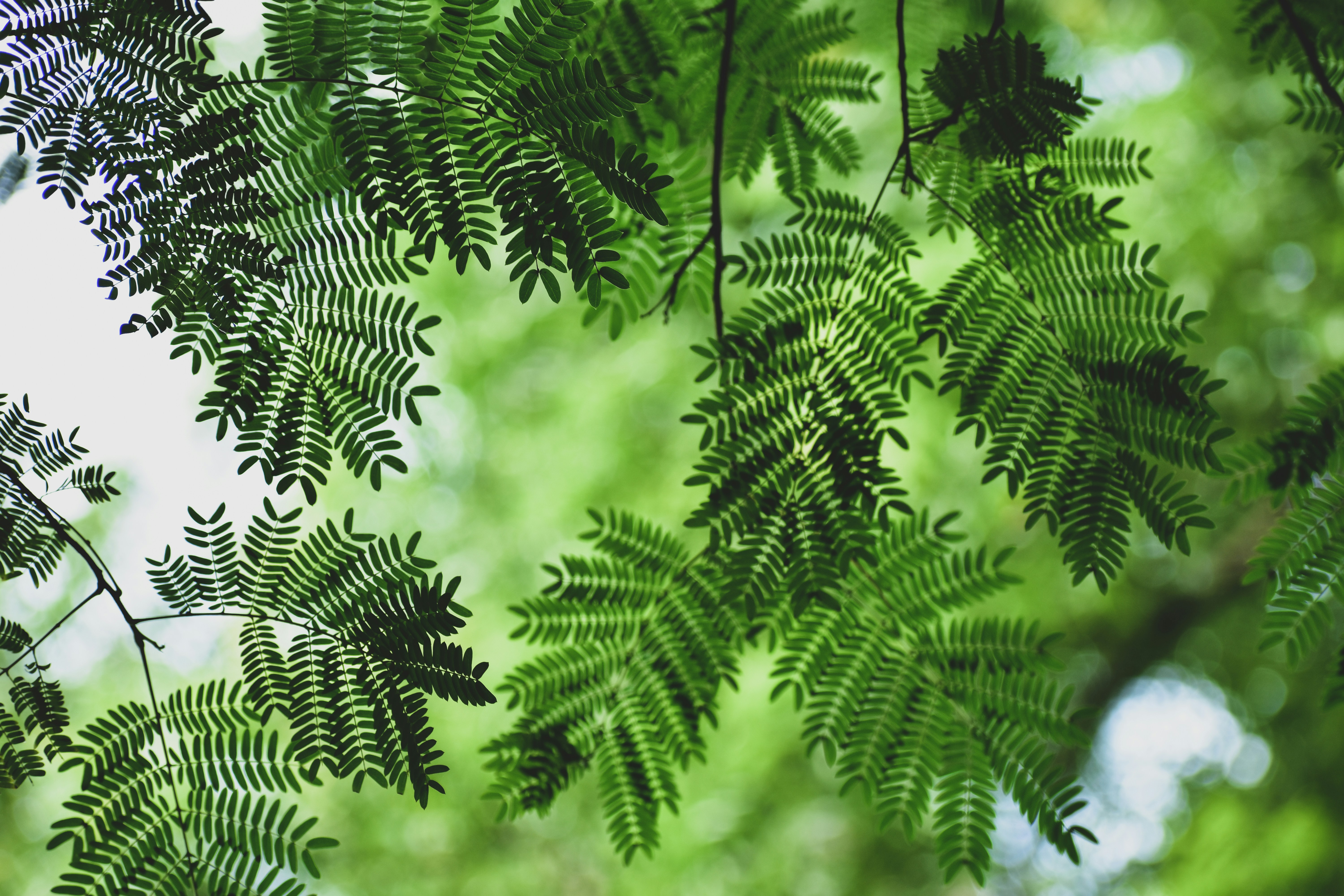 Photo by neelakshi_singh_