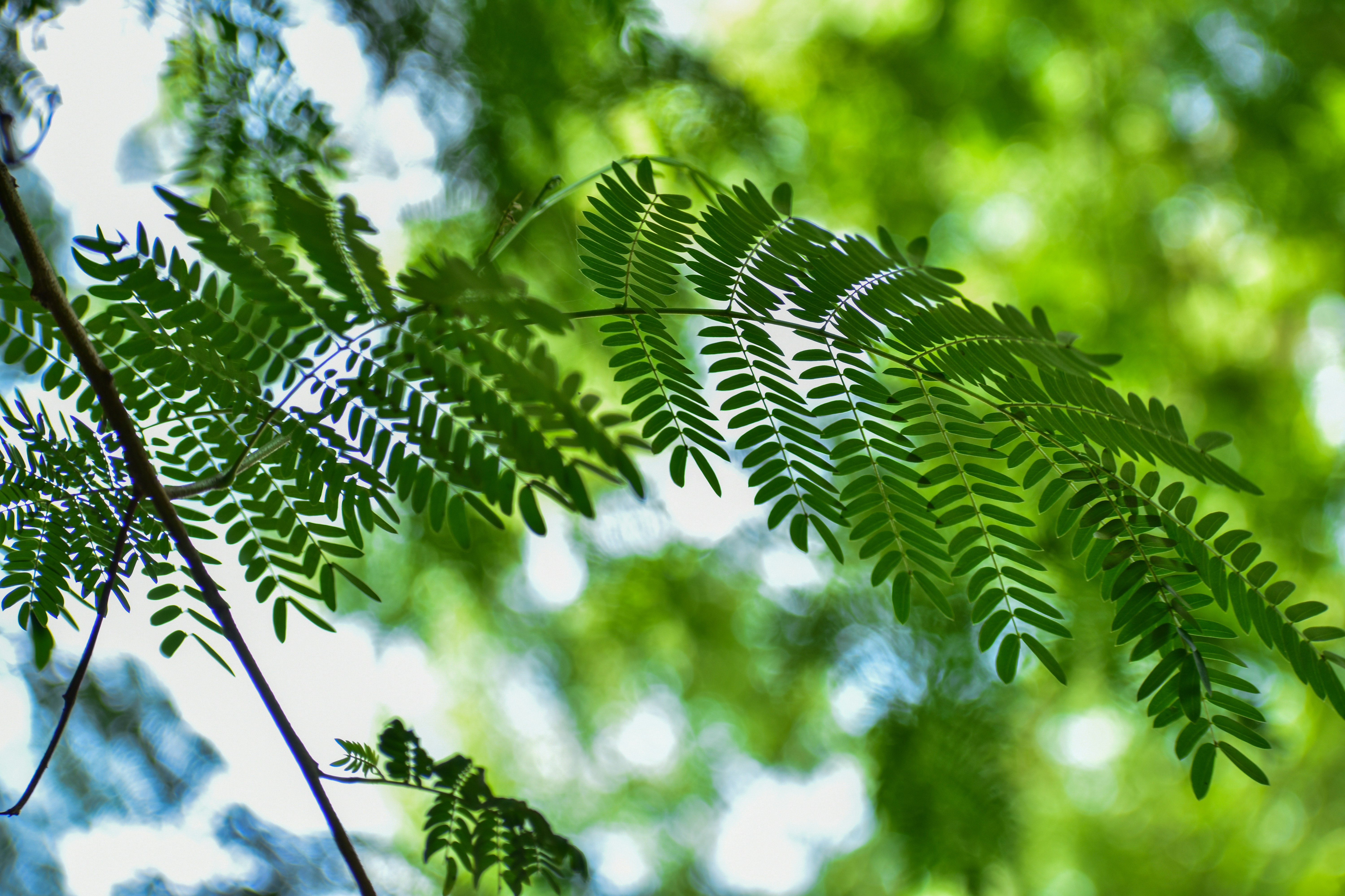 Photo by neelakshi_singh_