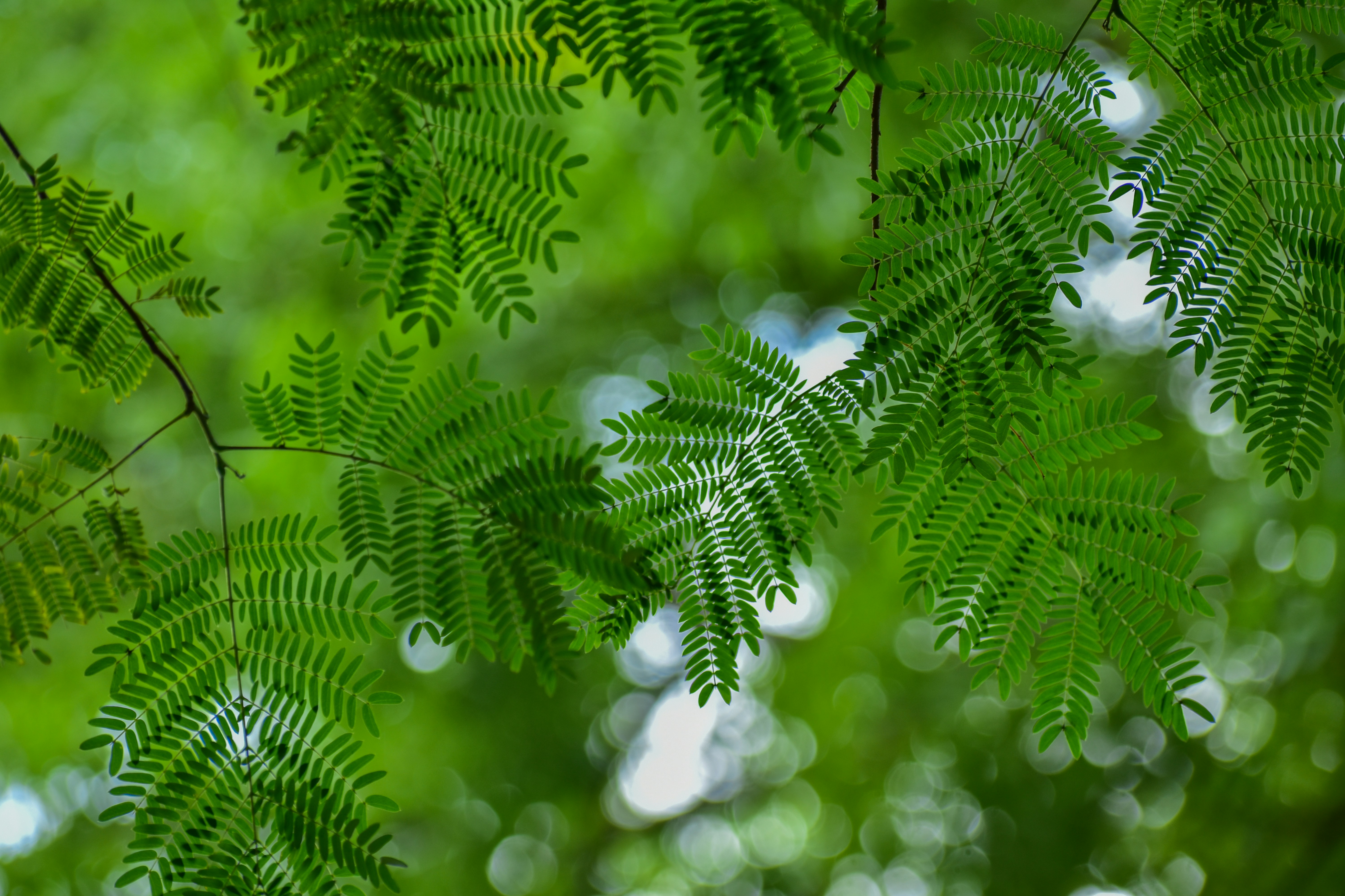 Photo by neelakshi_singh_