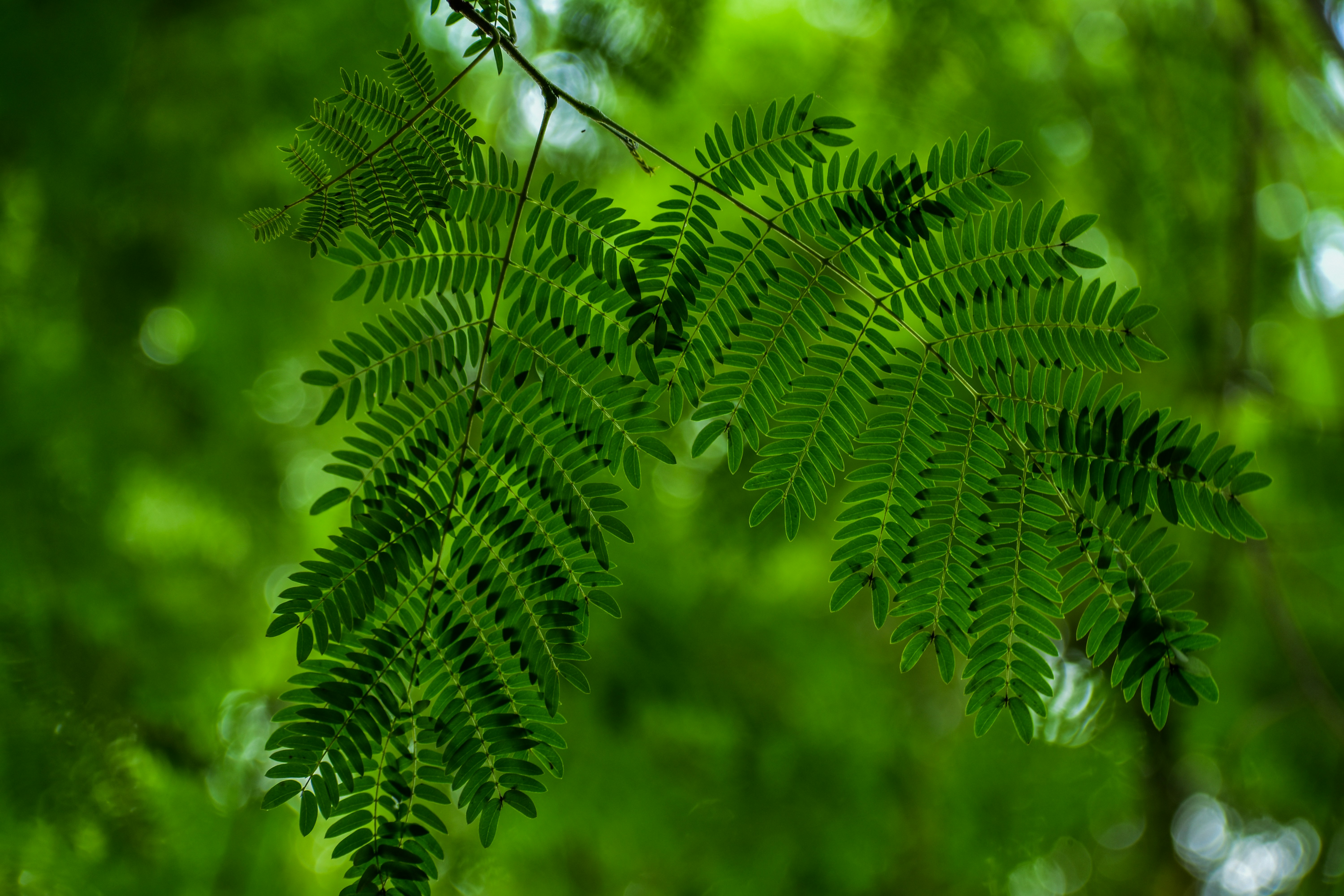 Photo by neelakshi_singh_