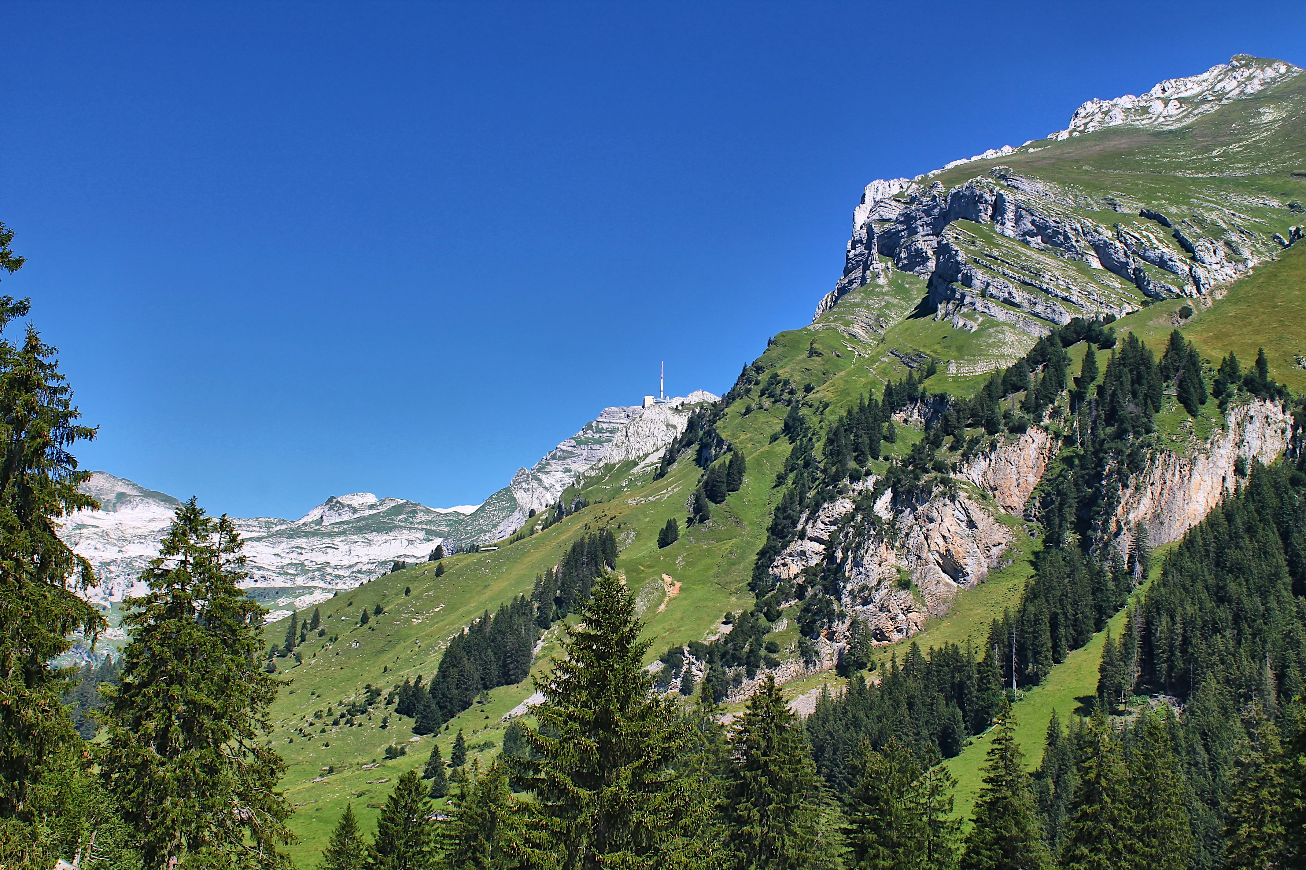 A view of a mountain range with trees in the foreground