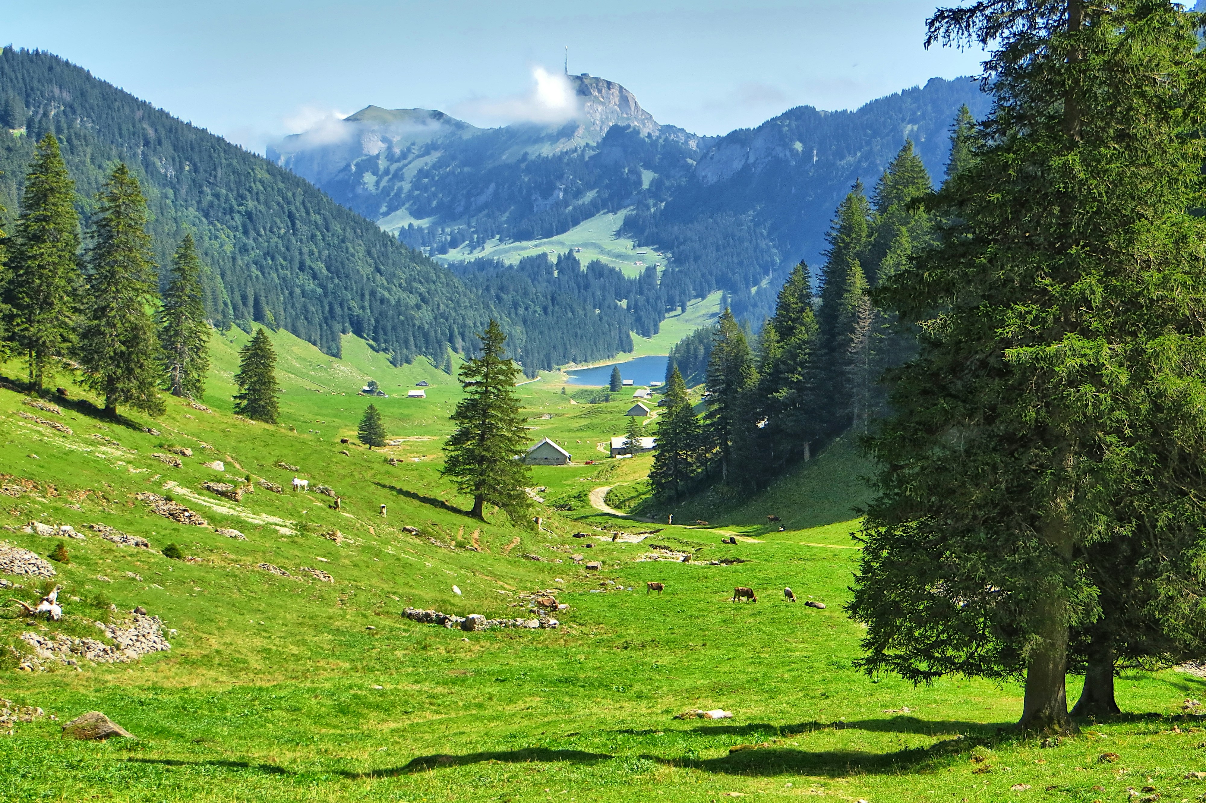 Photo by appenzellmoto