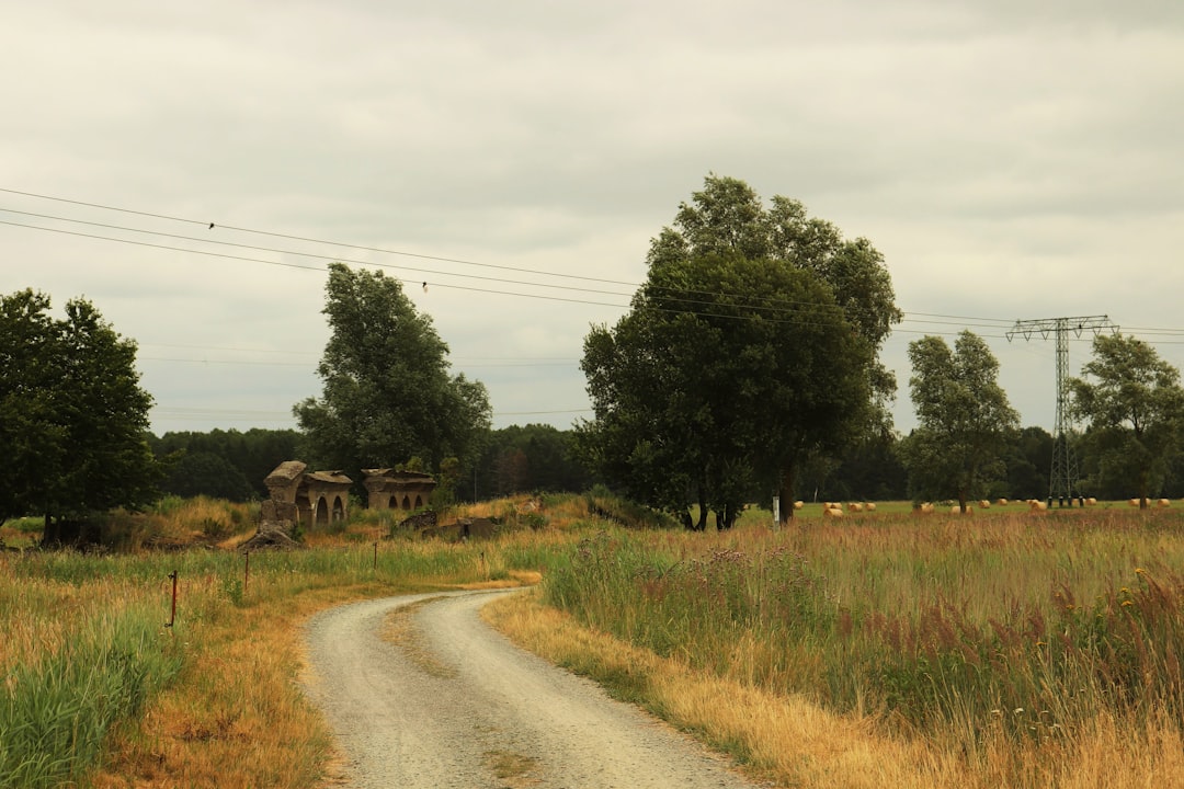 A dirt road in the middle of a grassy field,