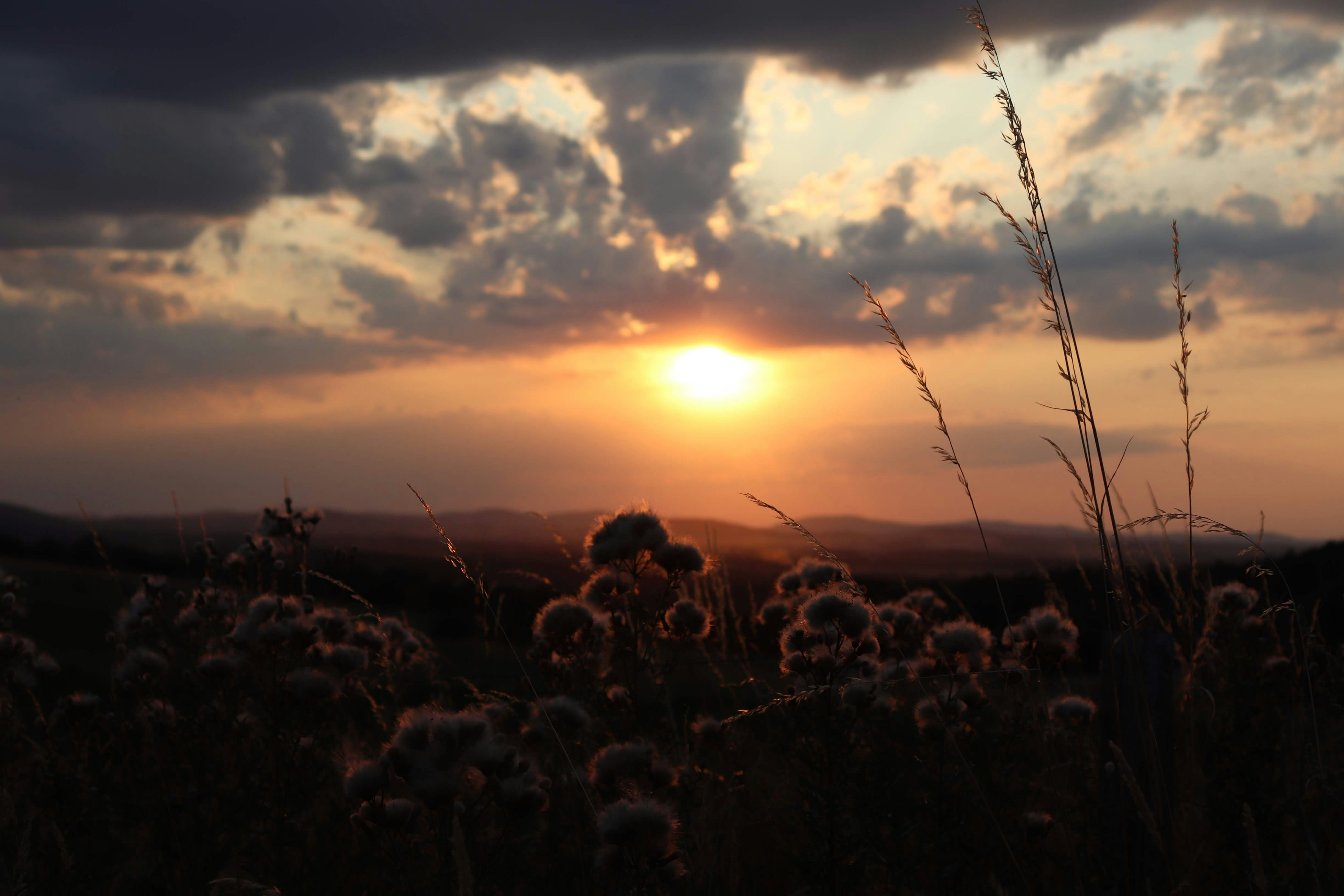 Photo by kaletha