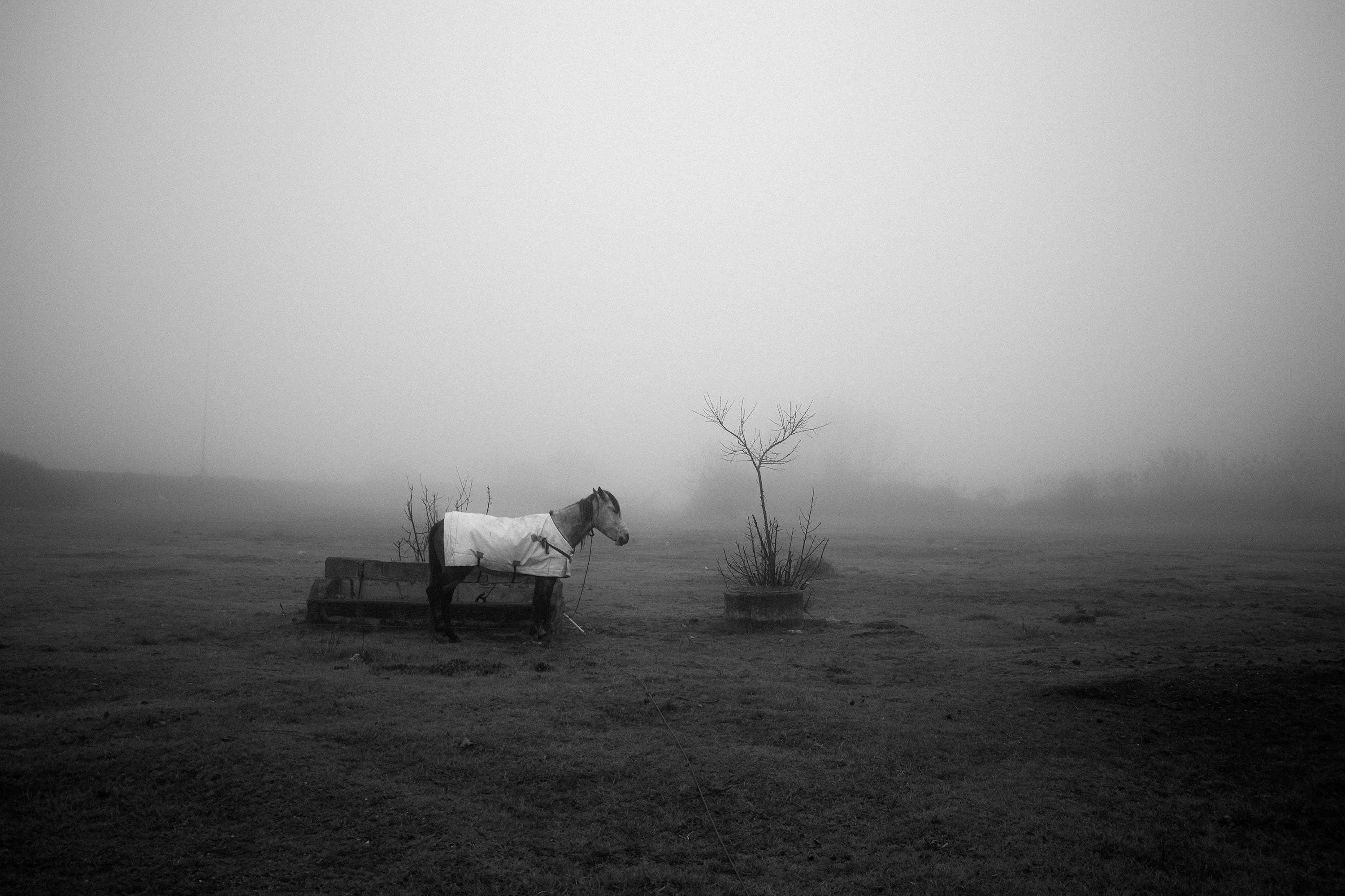 Photo by farazahanin