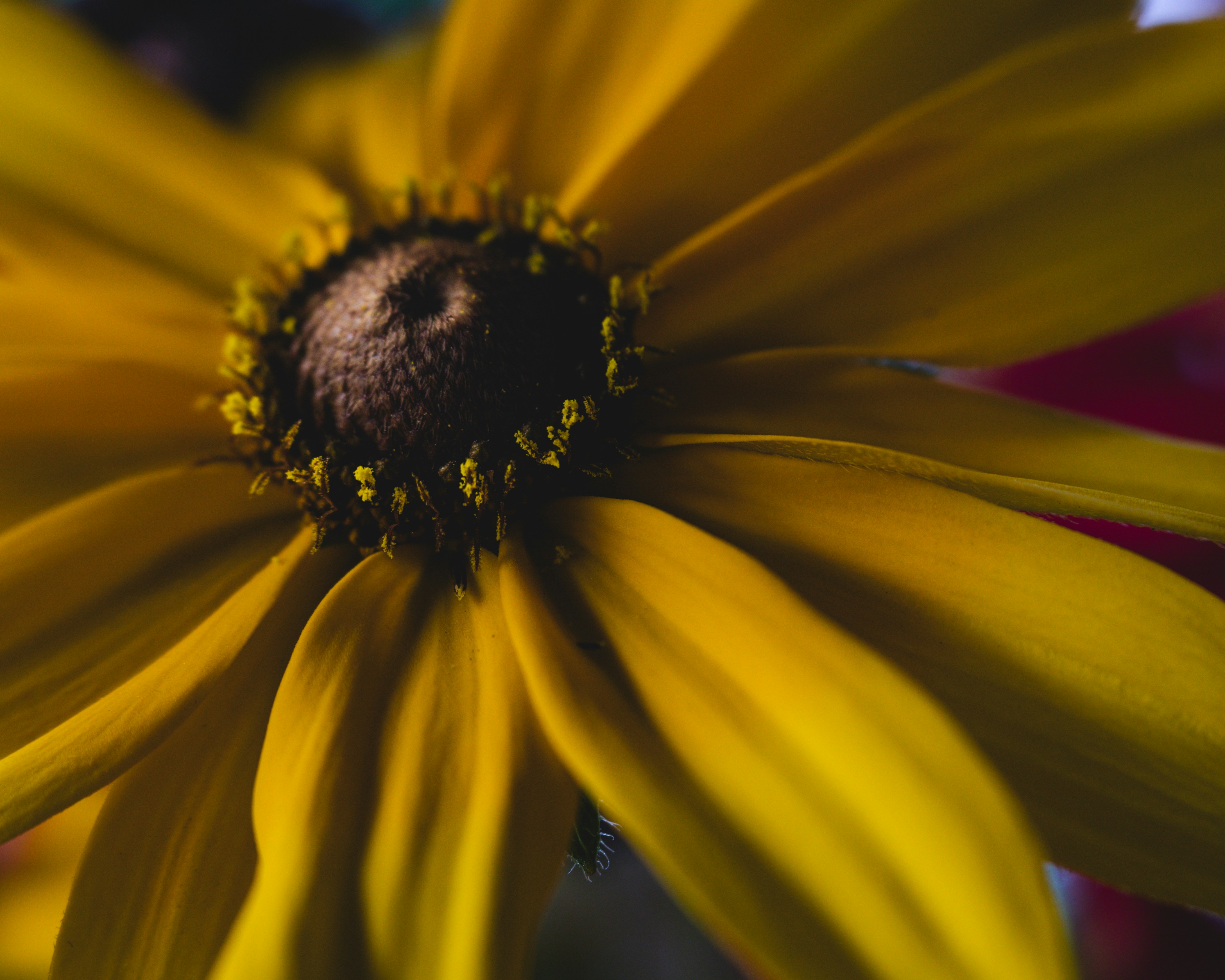 Photo by sixteenmilesout