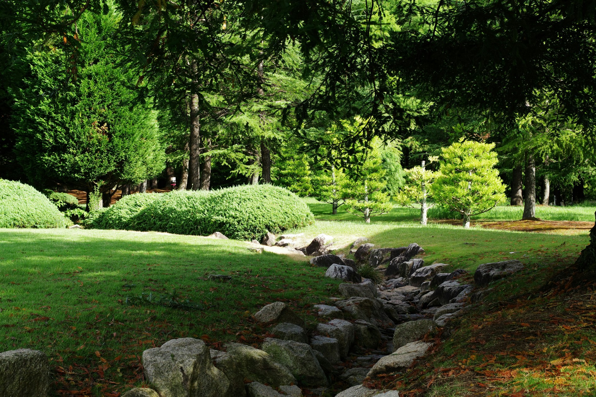 A grassy area with rocks and trees in the background