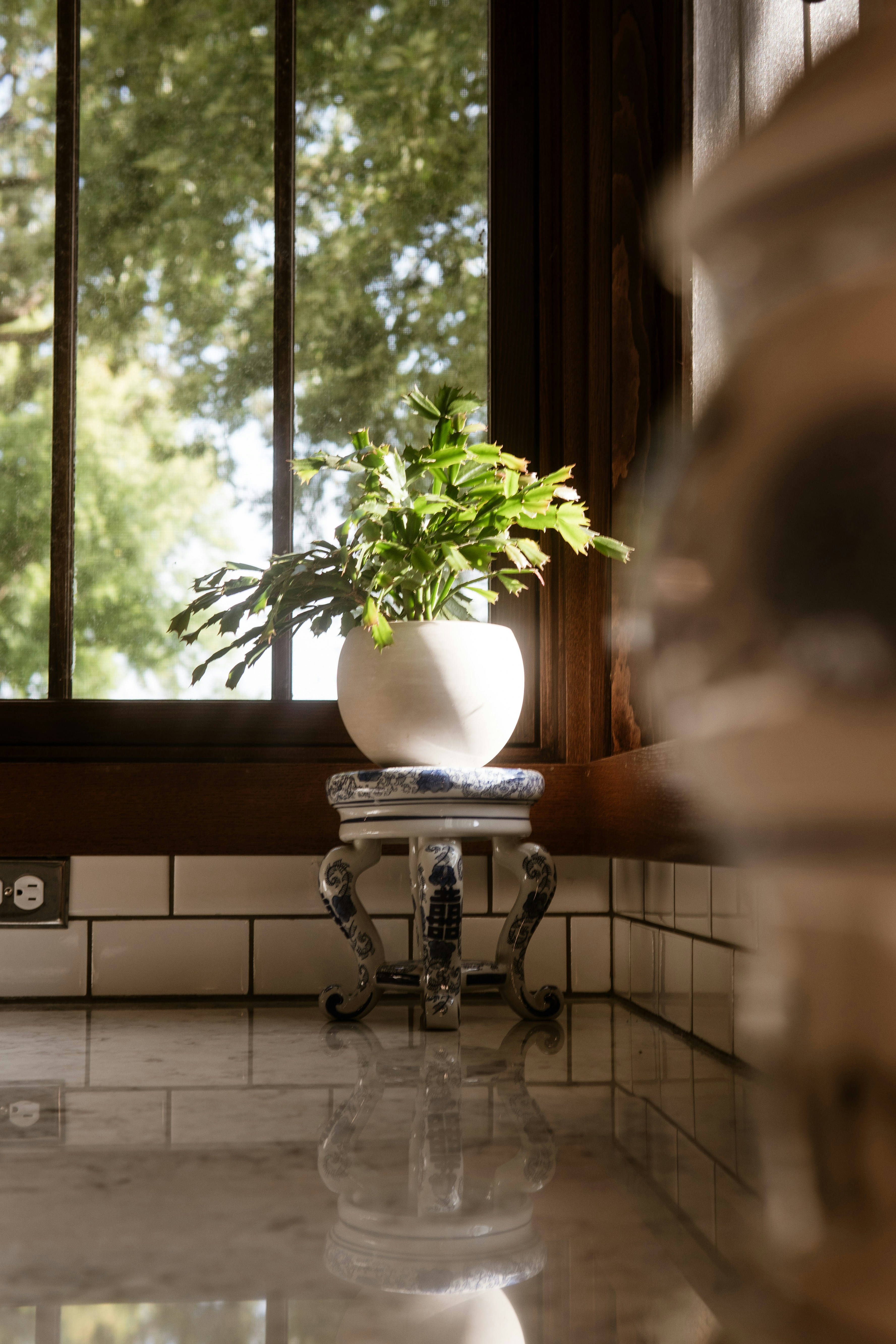 Photo by taylor_friehl