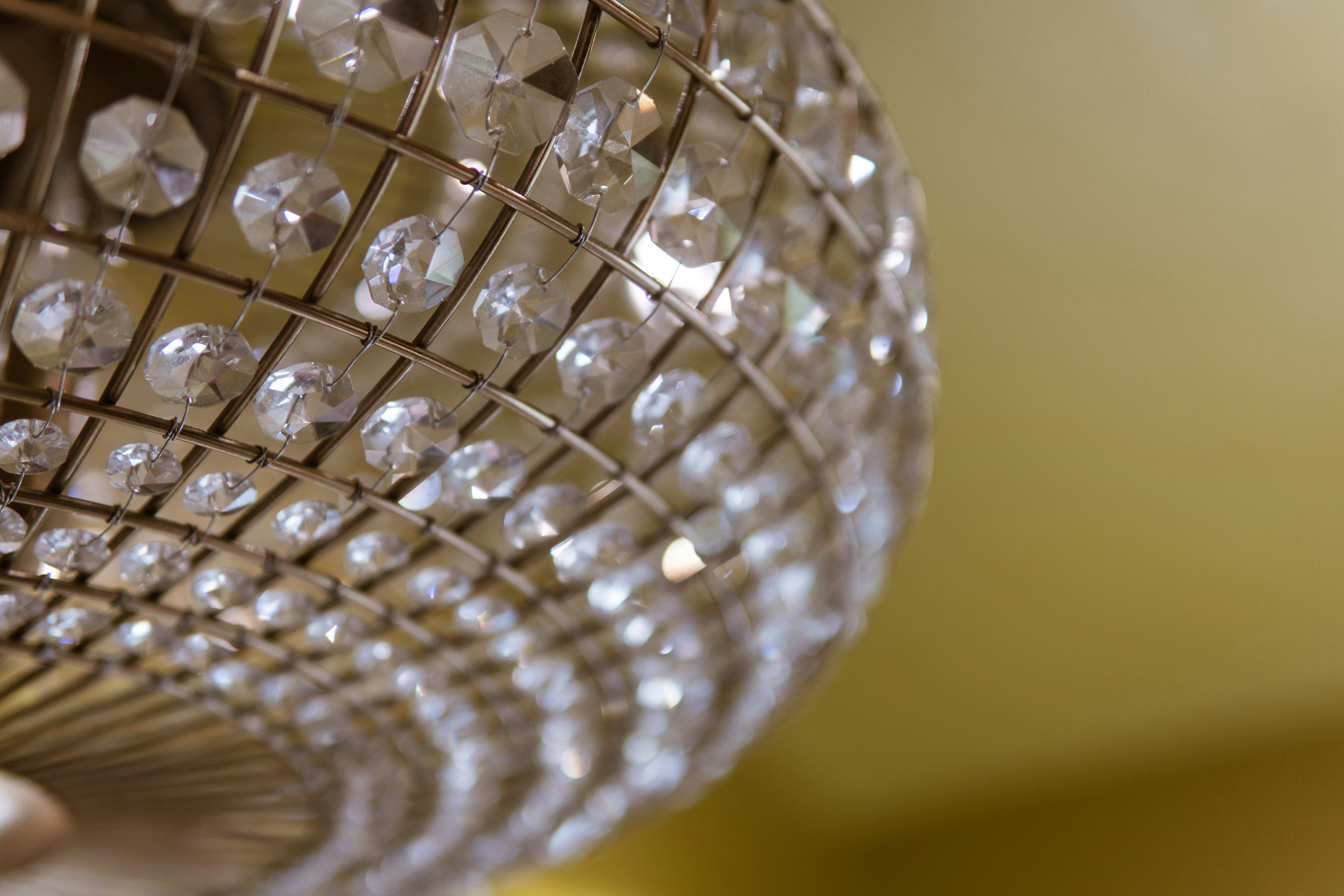 Photo by taylor_friehl