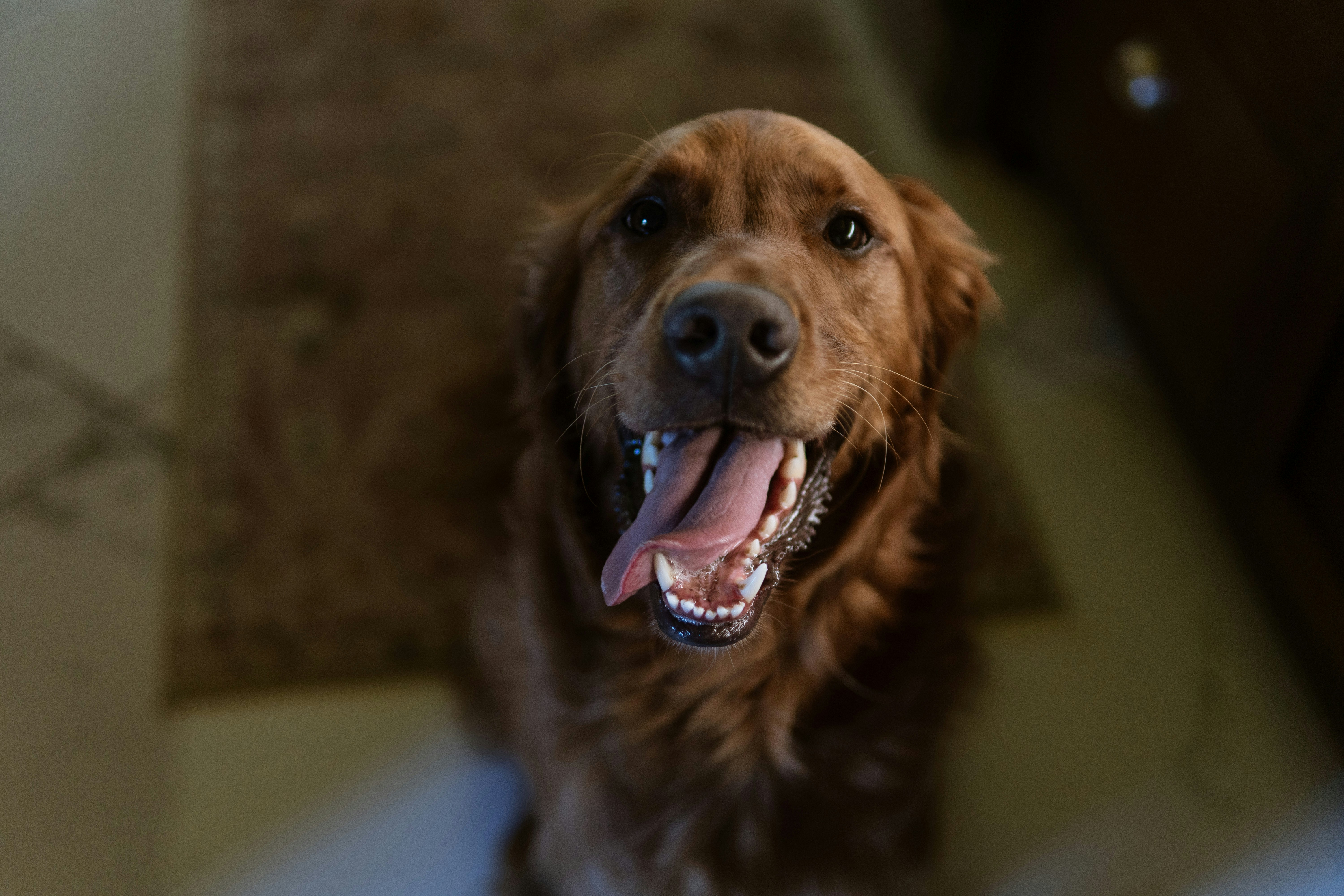 Photo by taylor_friehl