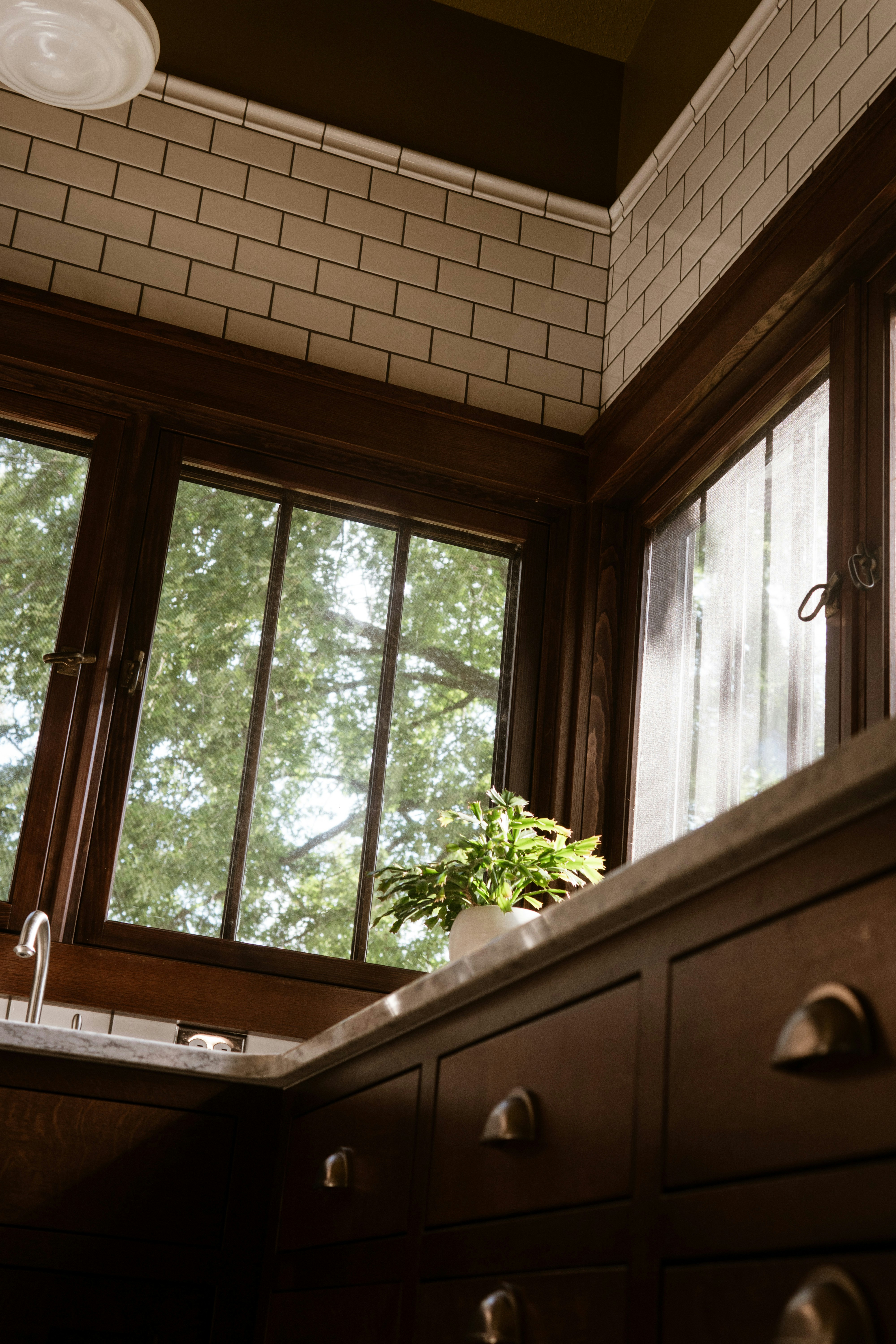 Photo by taylor_friehl