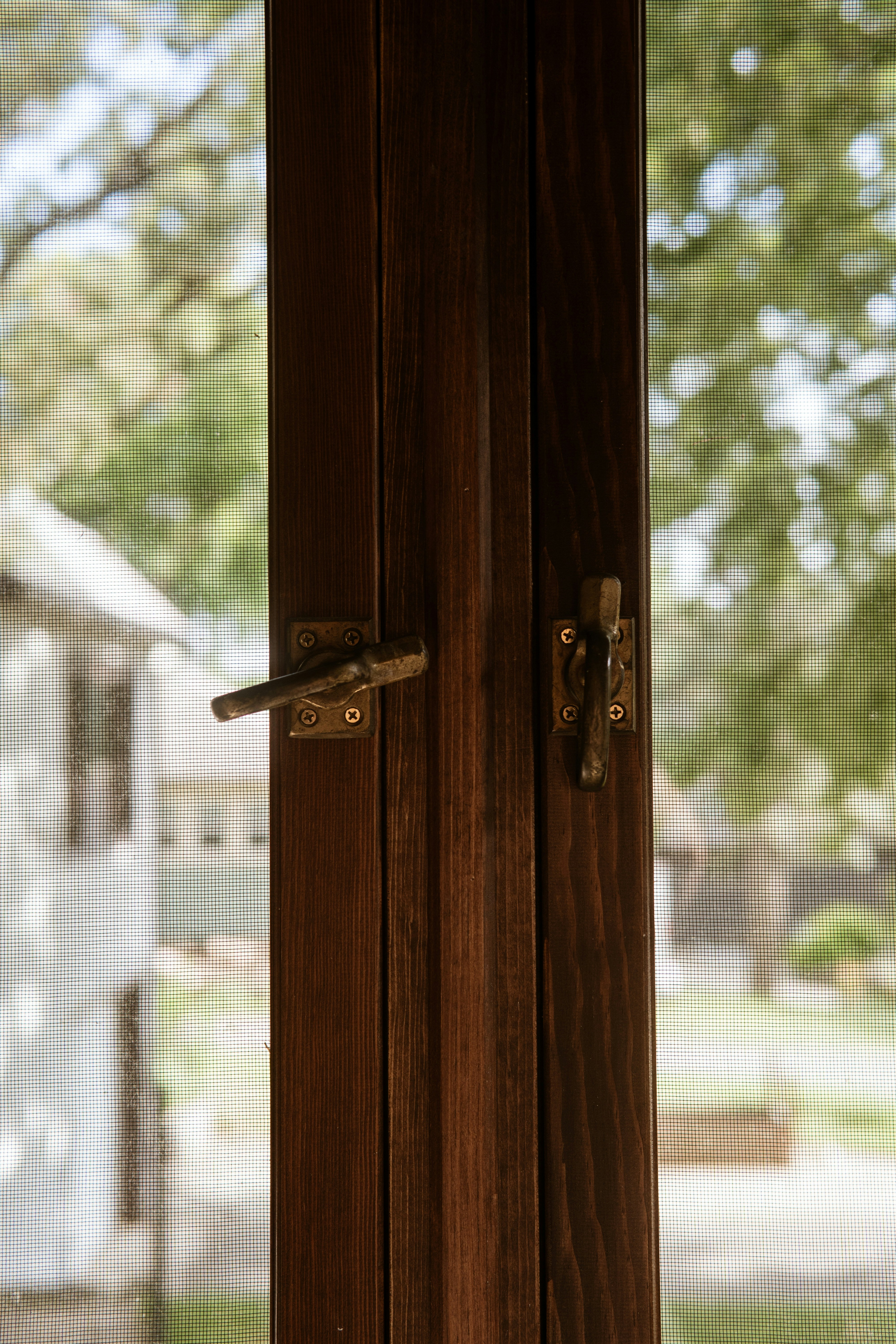 Photo by taylor_friehl