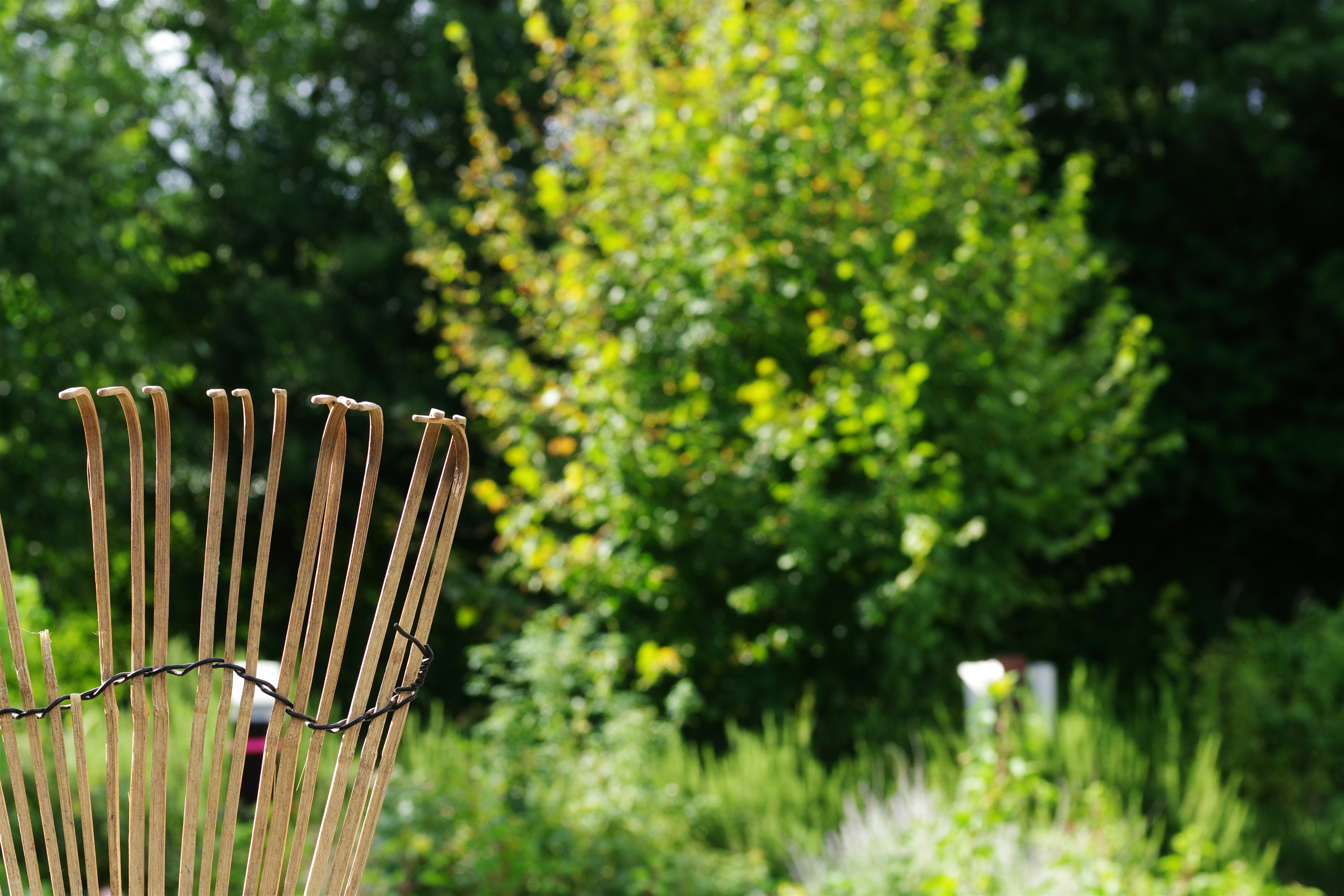 Beratungsgespräch zur Gartenpflege