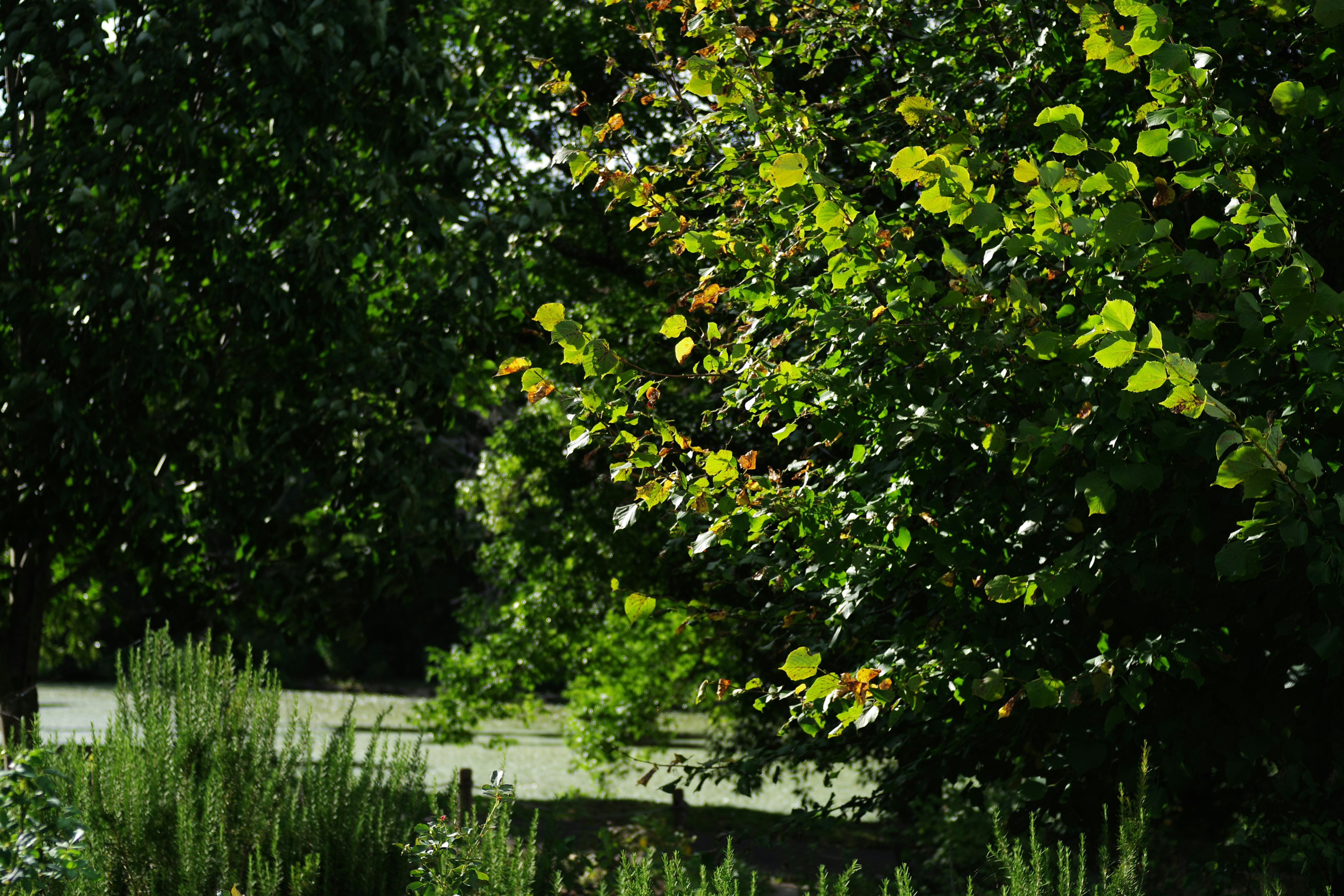 震驚！99%的人都做錯！家居清潔真相曝光，看完直接跪了！