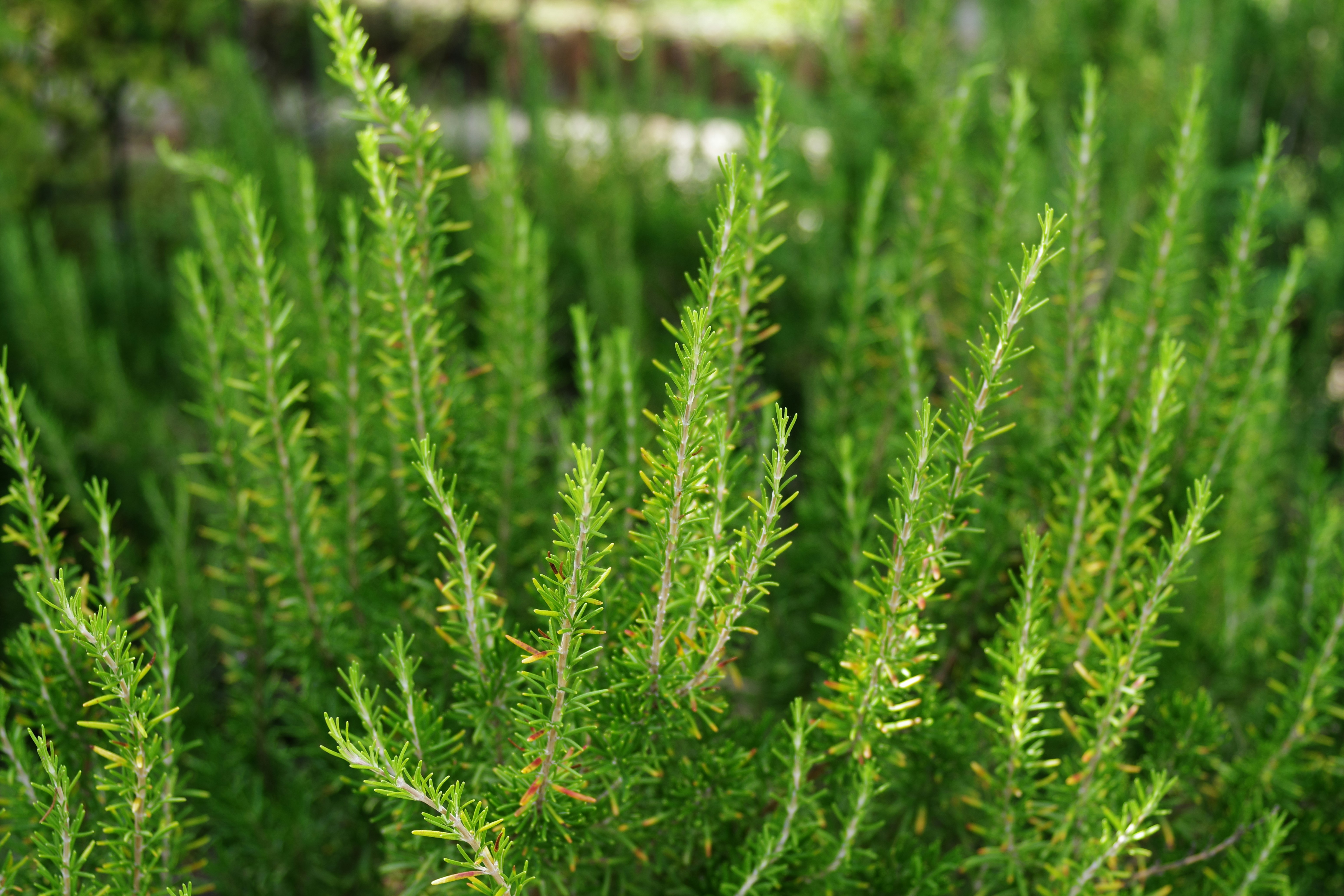 震驚！99% 的人都不知道的居家收納真相，看完原地崩潰！