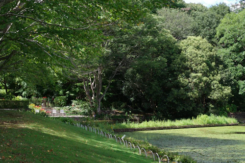 Large maintained commercial lawn