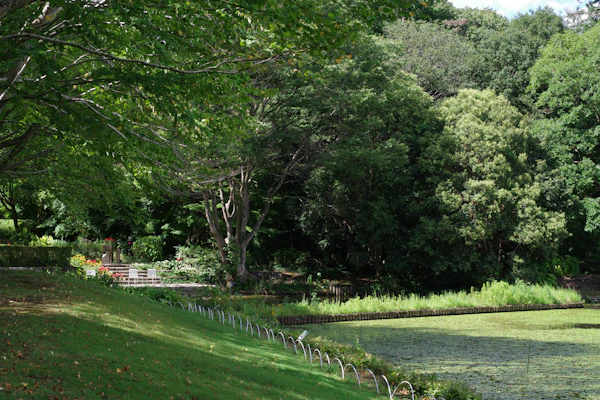 Commercial grounds maintenance