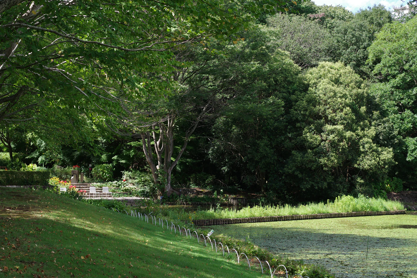 Lush green parkland with mature trees and flowers