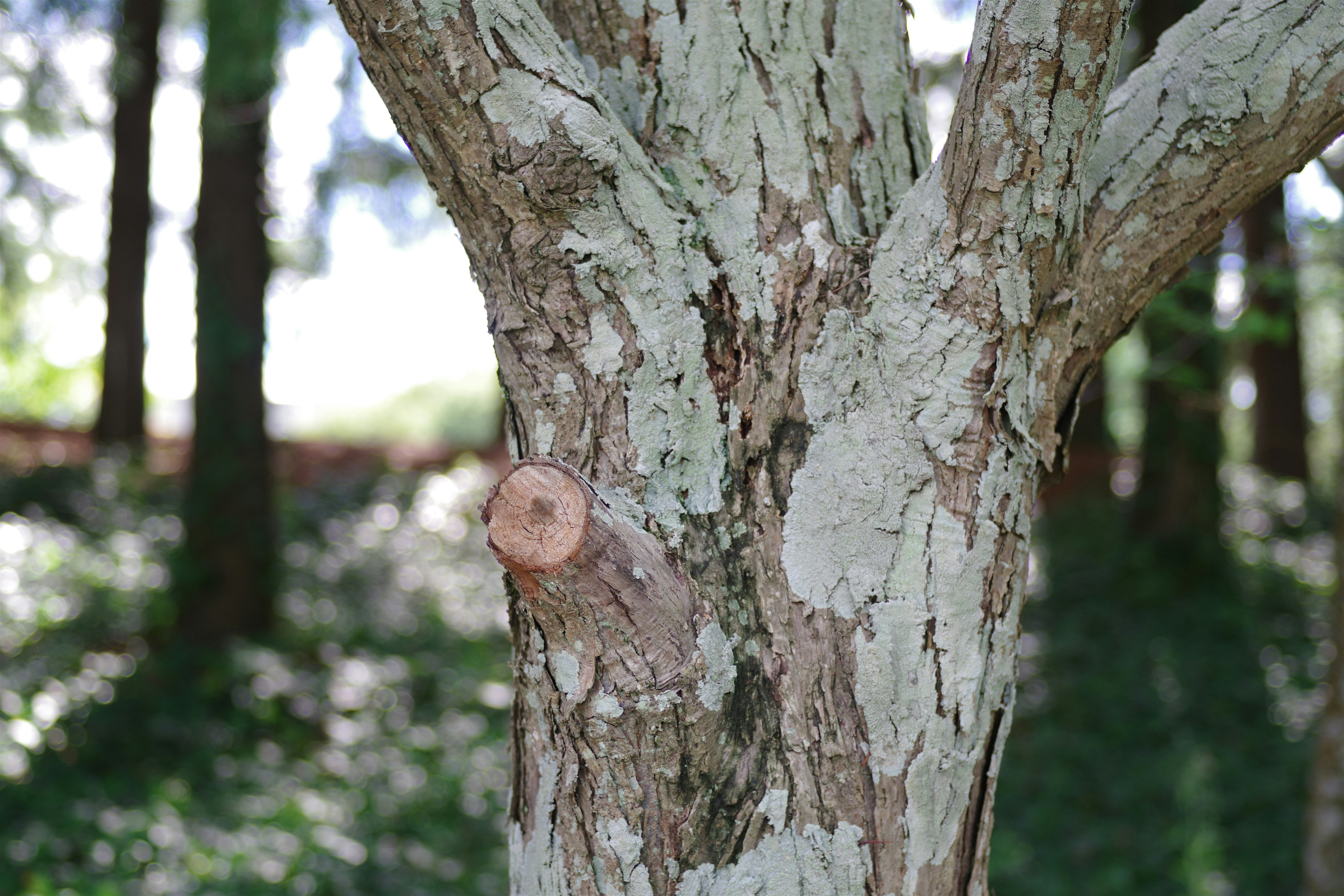 🔥真相曝光！專家不敢說的家居風水秘密，小心越住越窮！