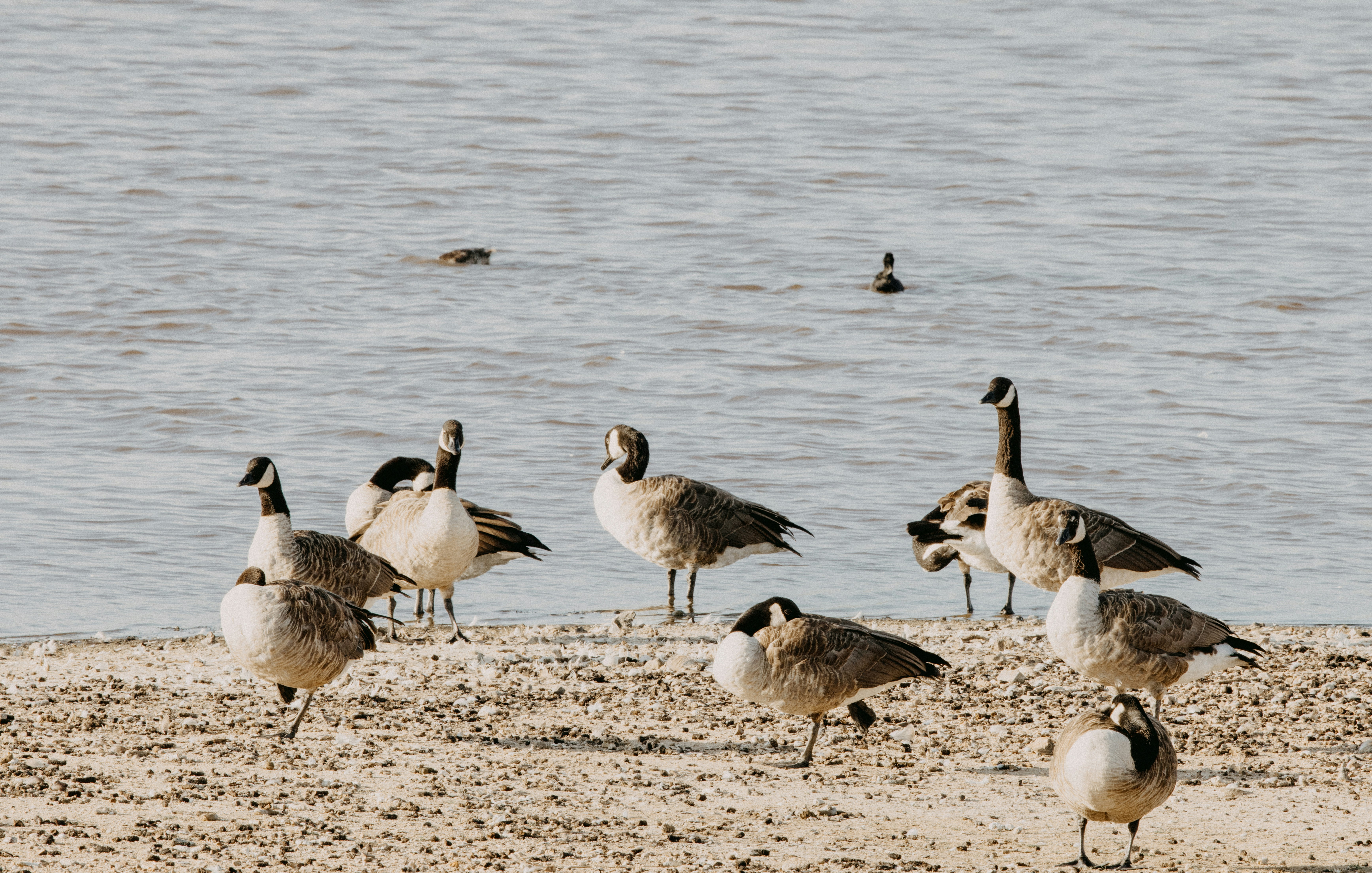 Photo by anniespratt