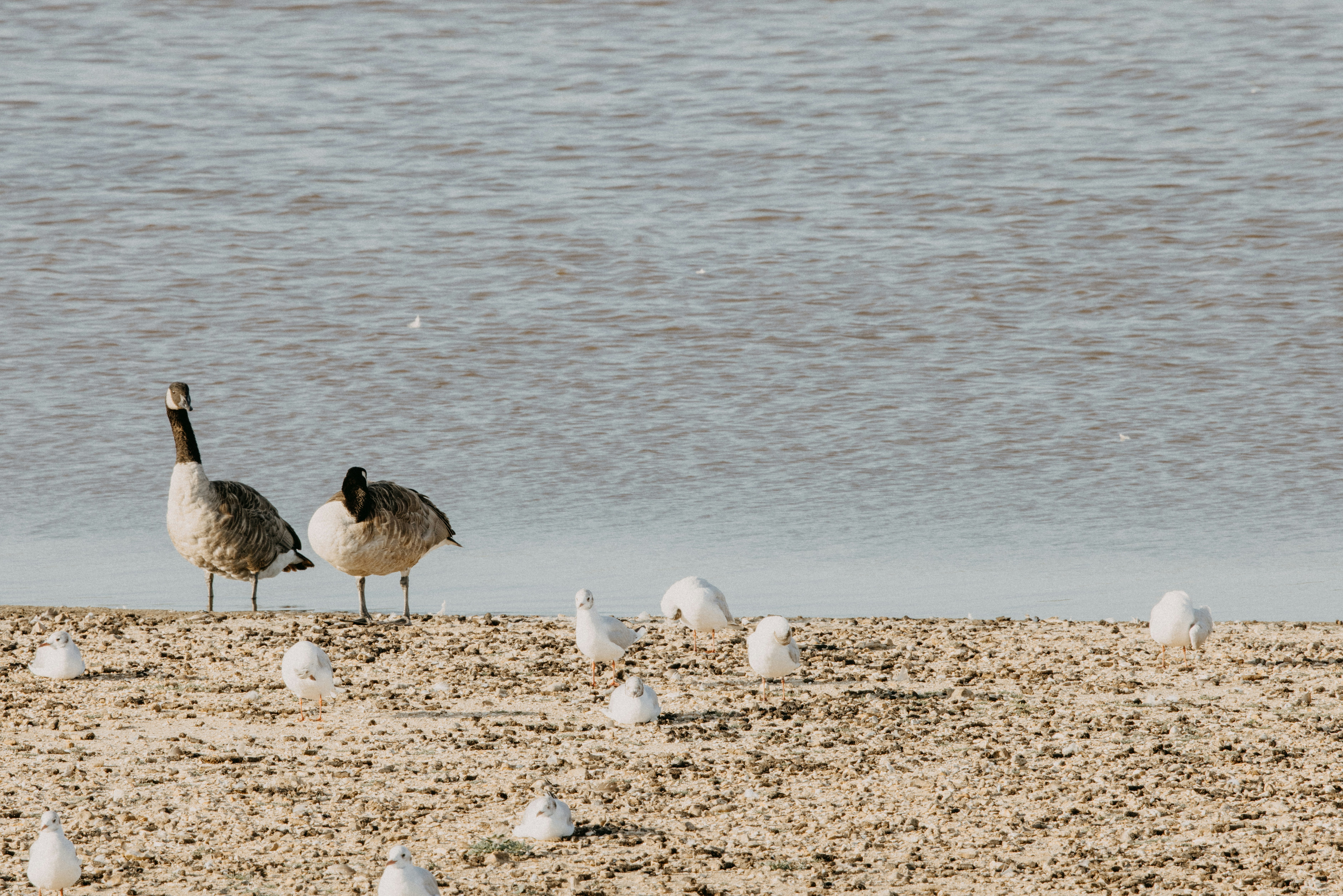 Photo by anniespratt