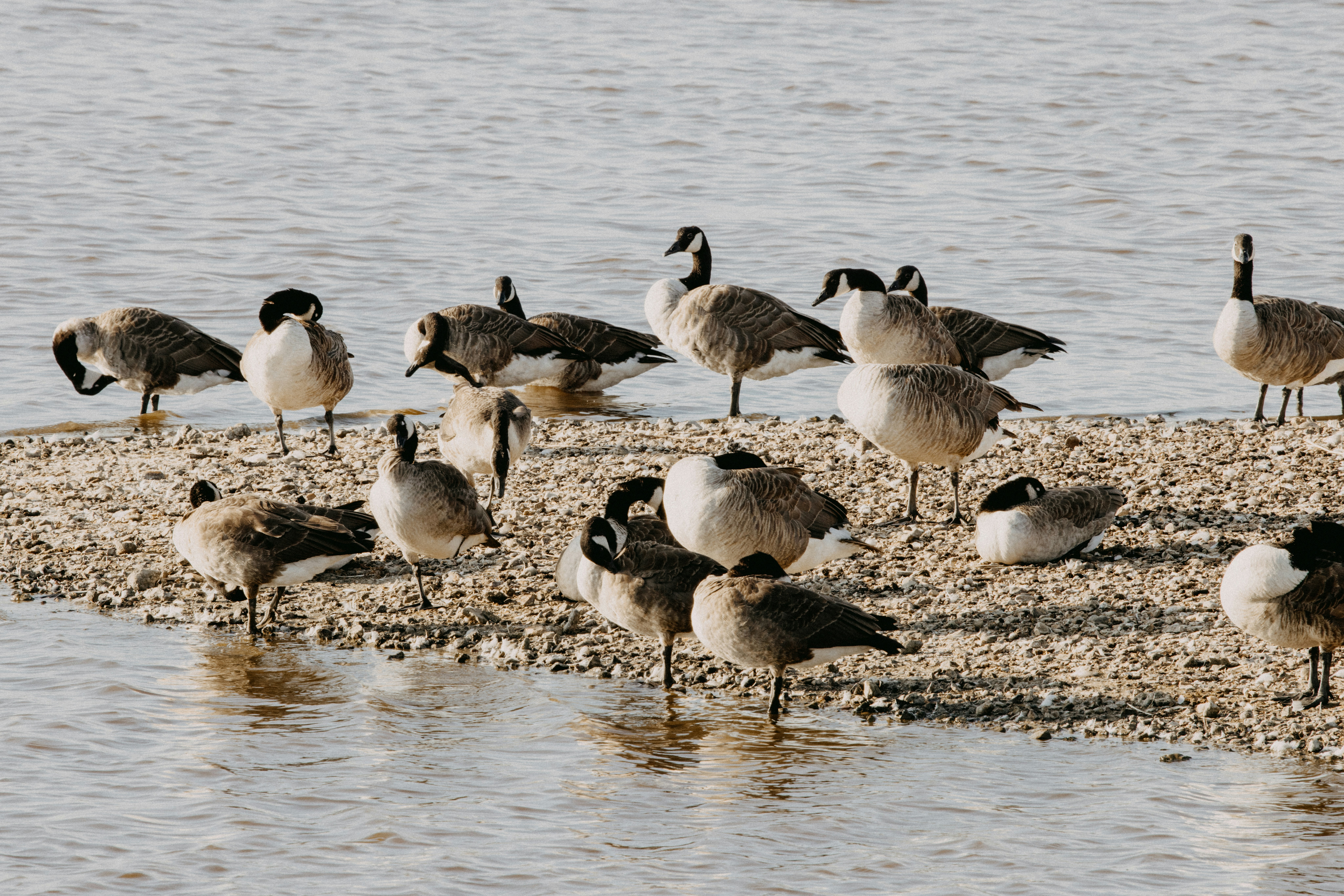 Photo by anniespratt