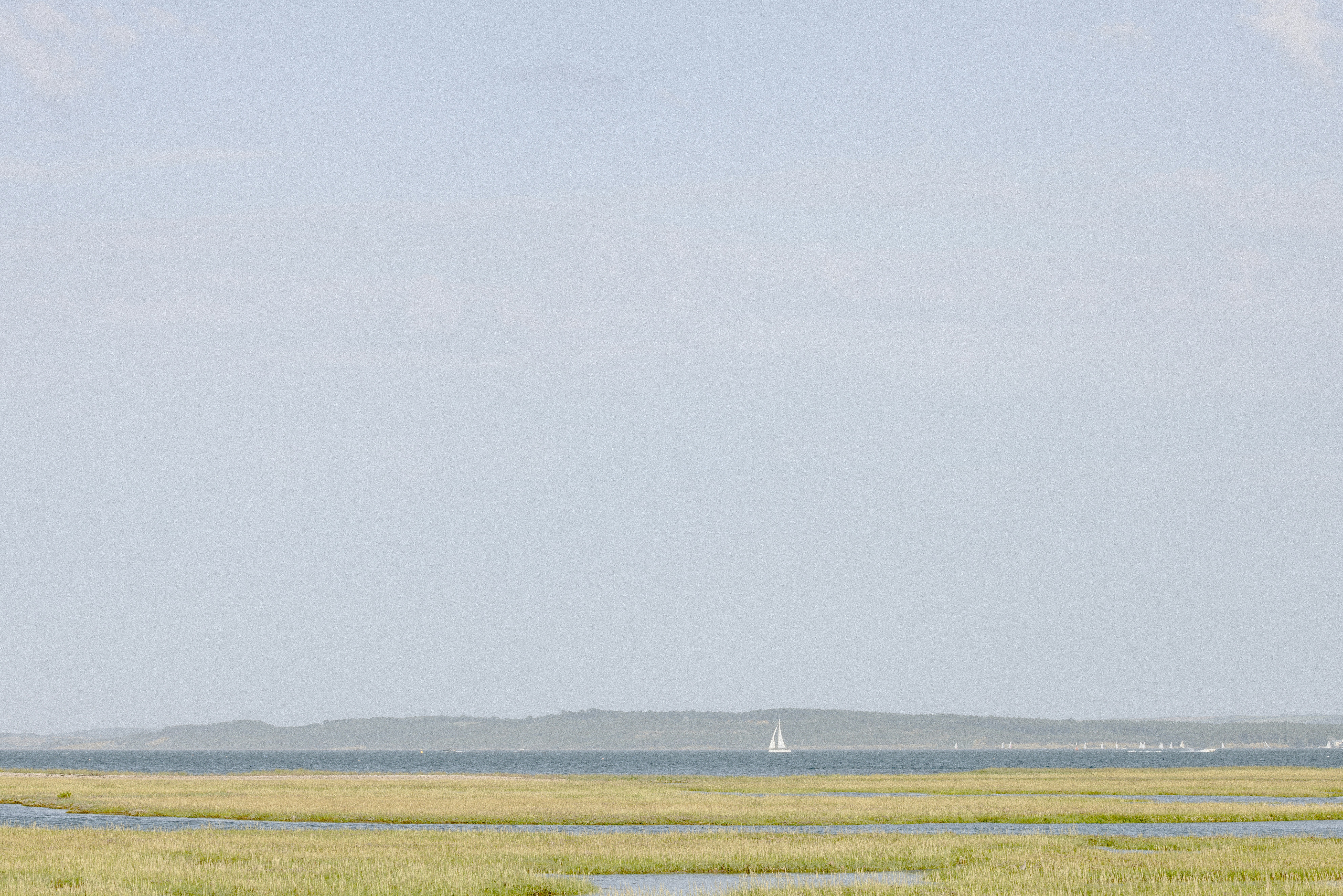 Photo by anniespratt