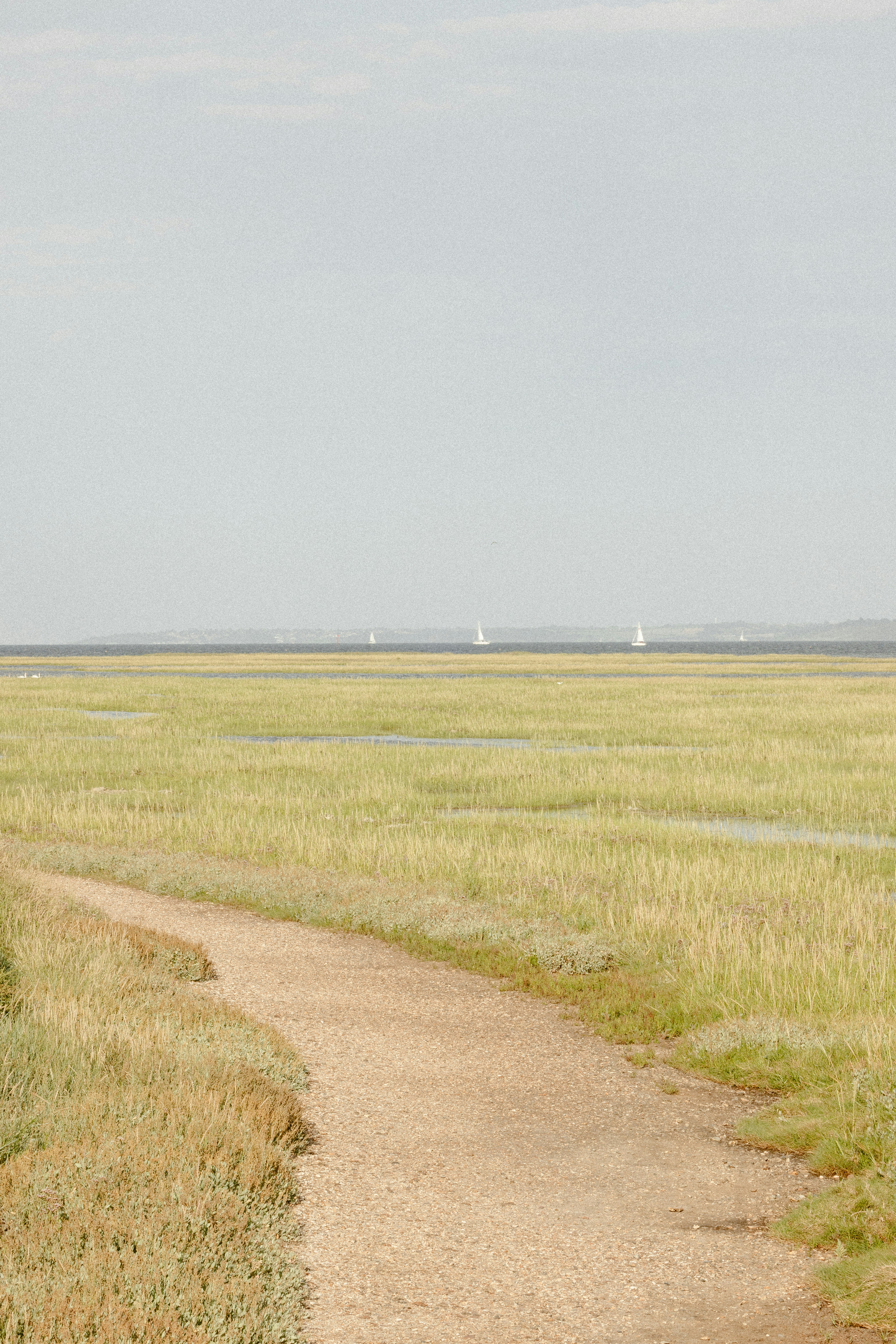 Photo by anniespratt