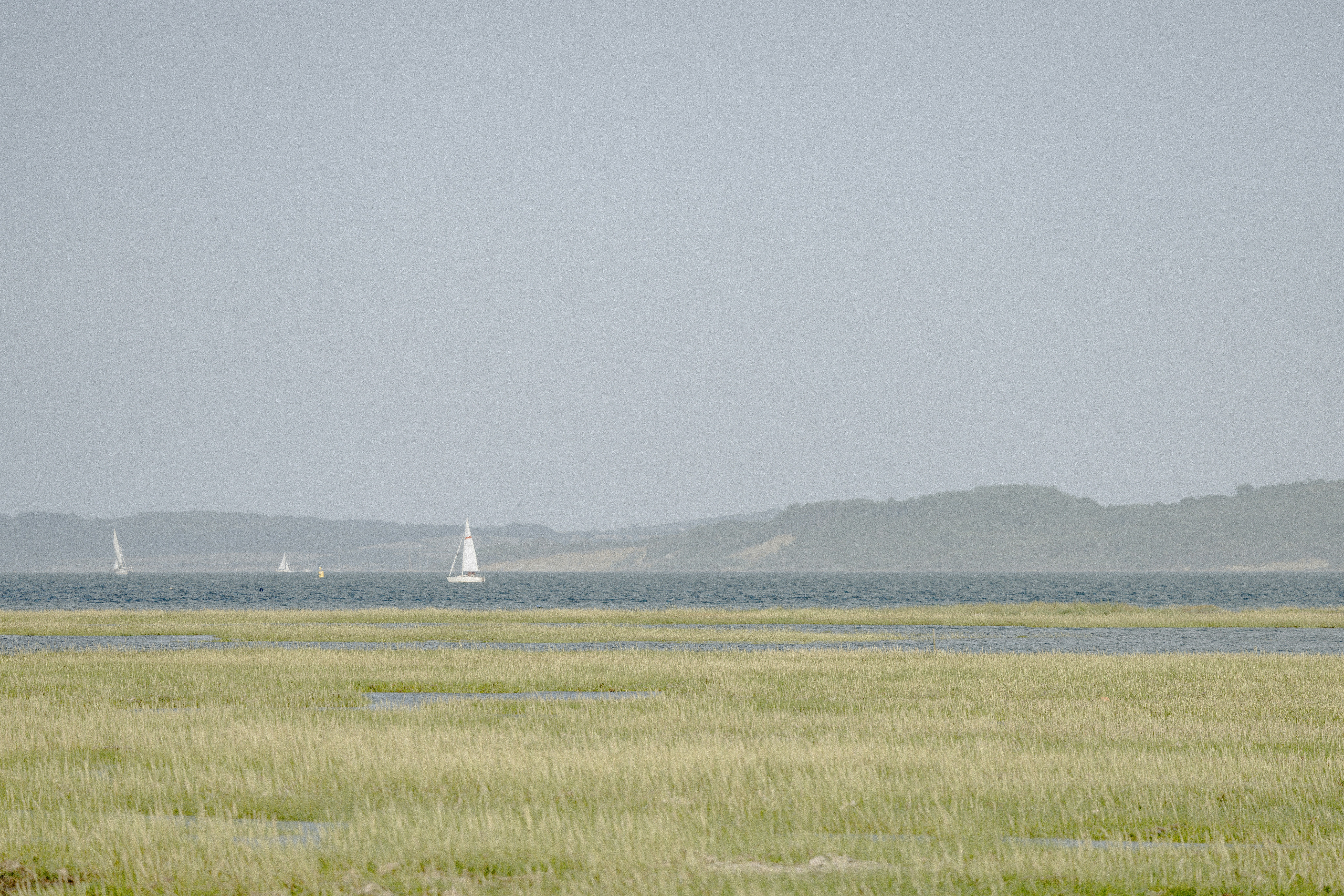 Photo by anniespratt