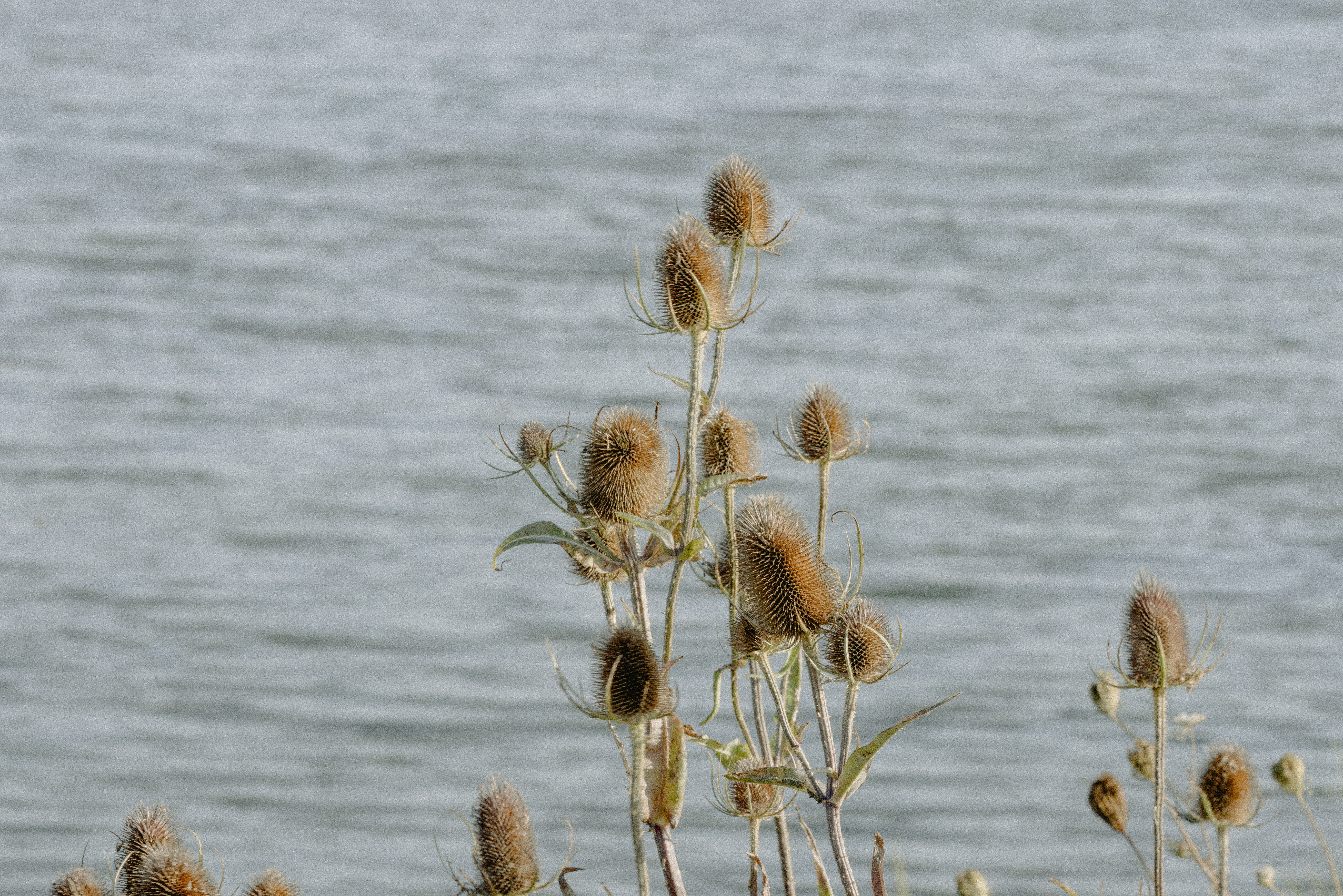 Photo by anniespratt