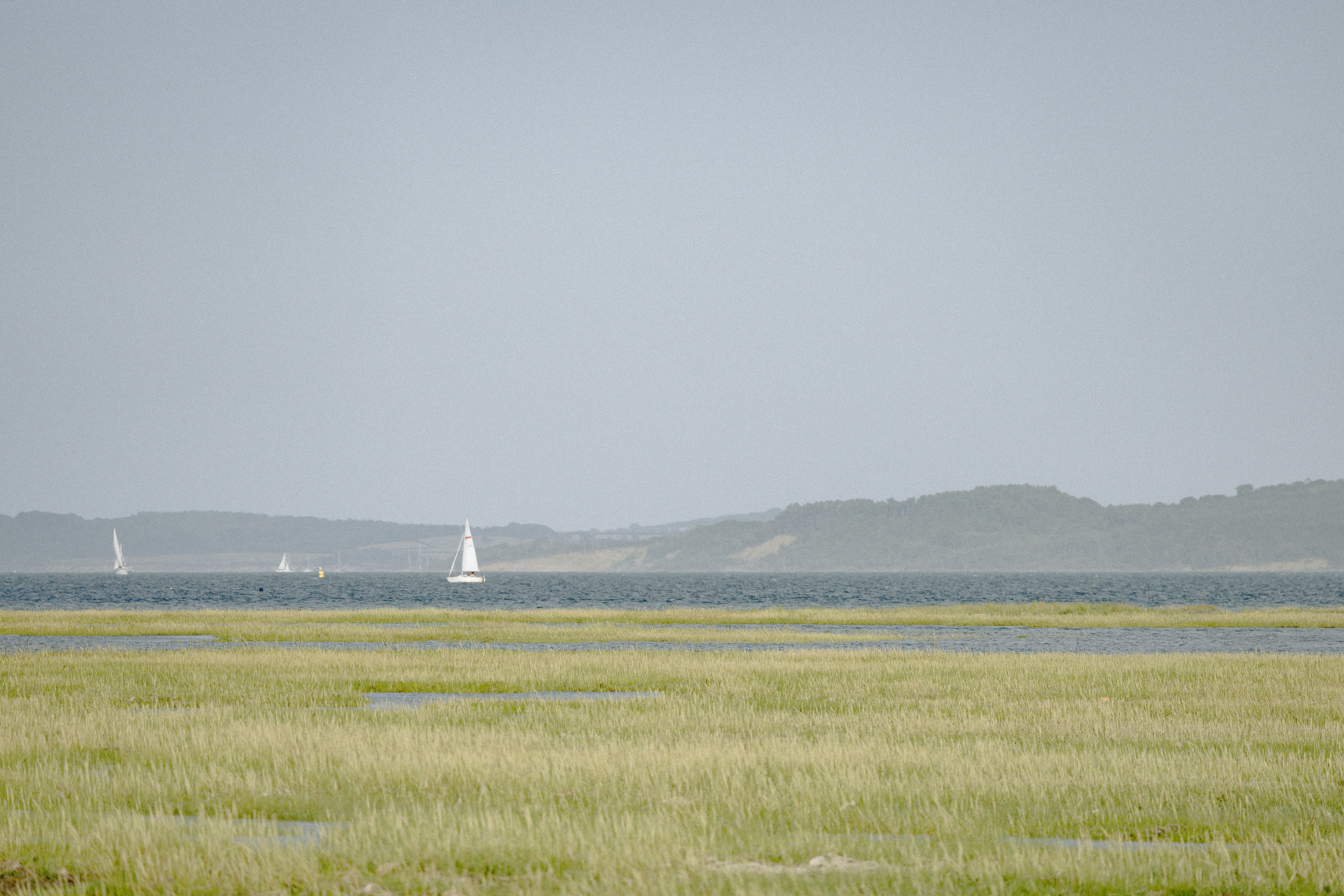 Photo by anniespratt