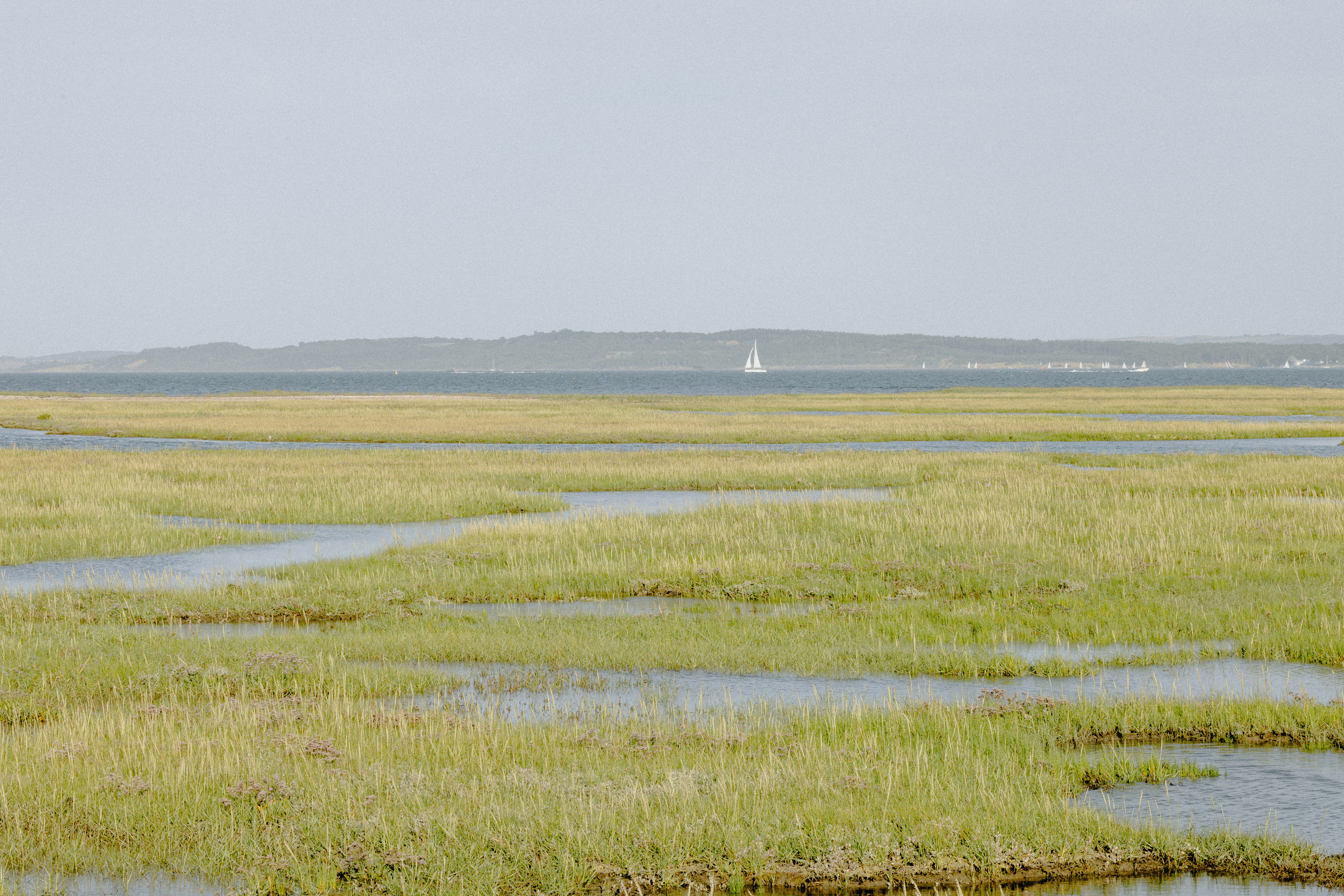 Photo by anniespratt