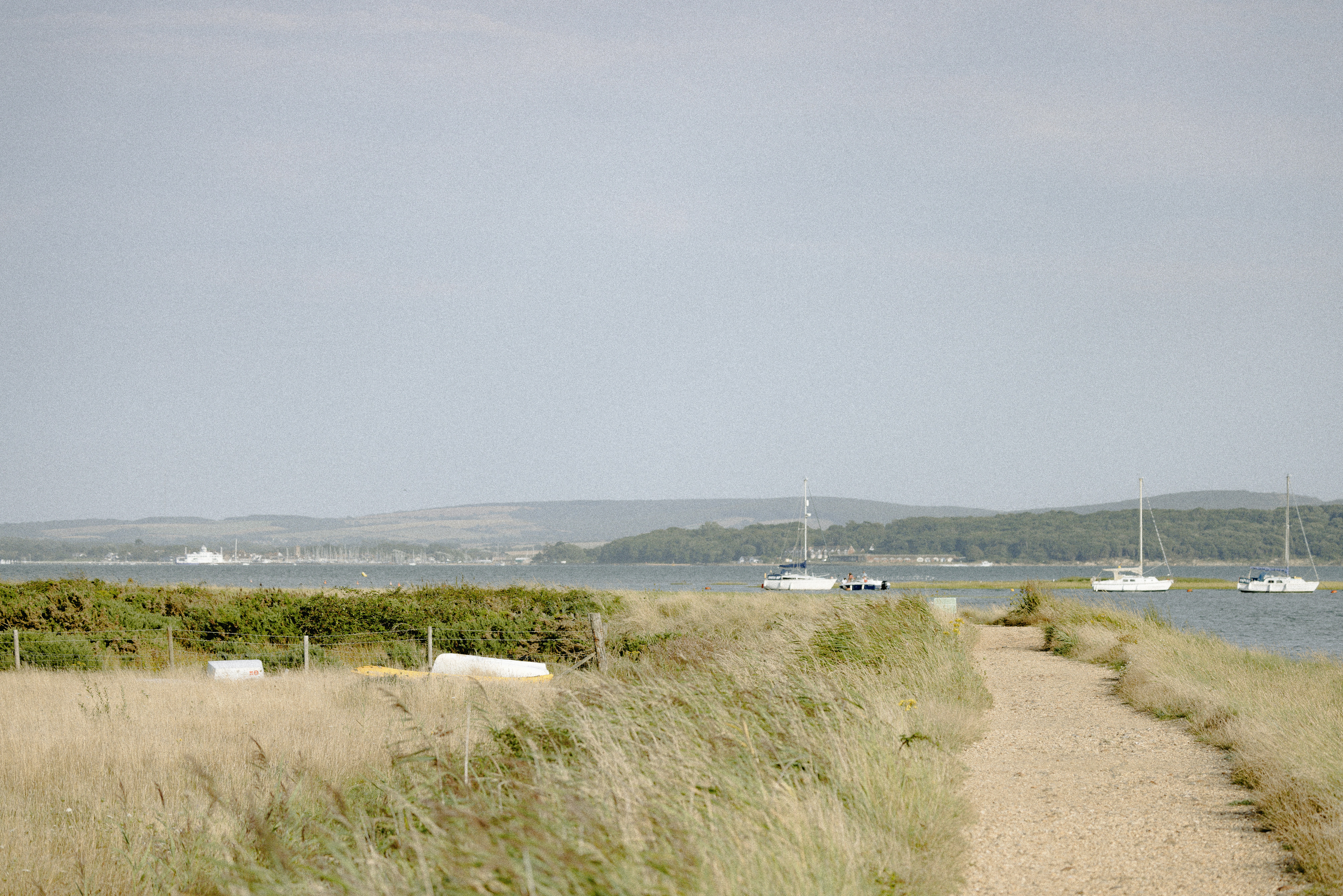 Photo by anniespratt