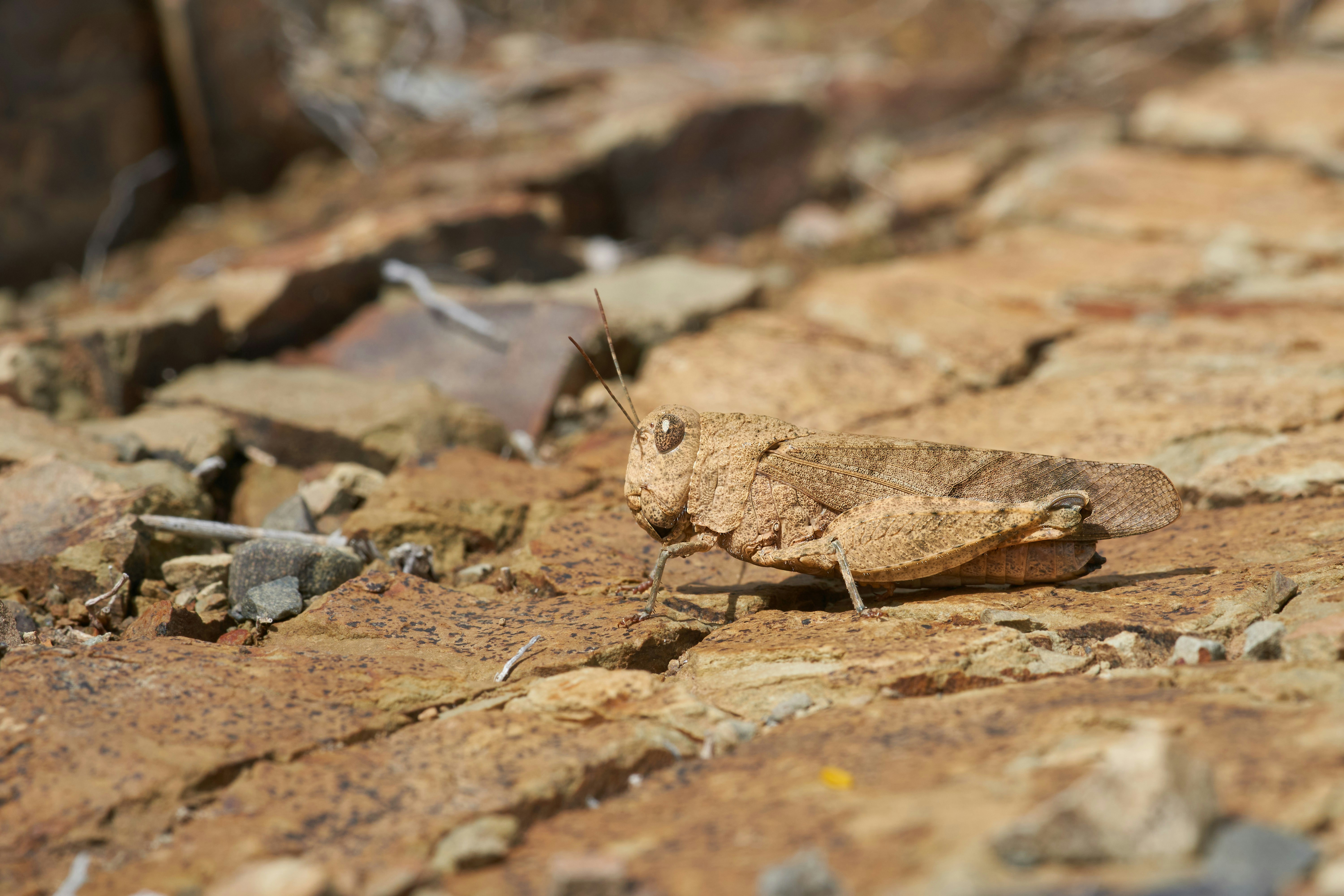 Photo by wolfgang_hasselmann