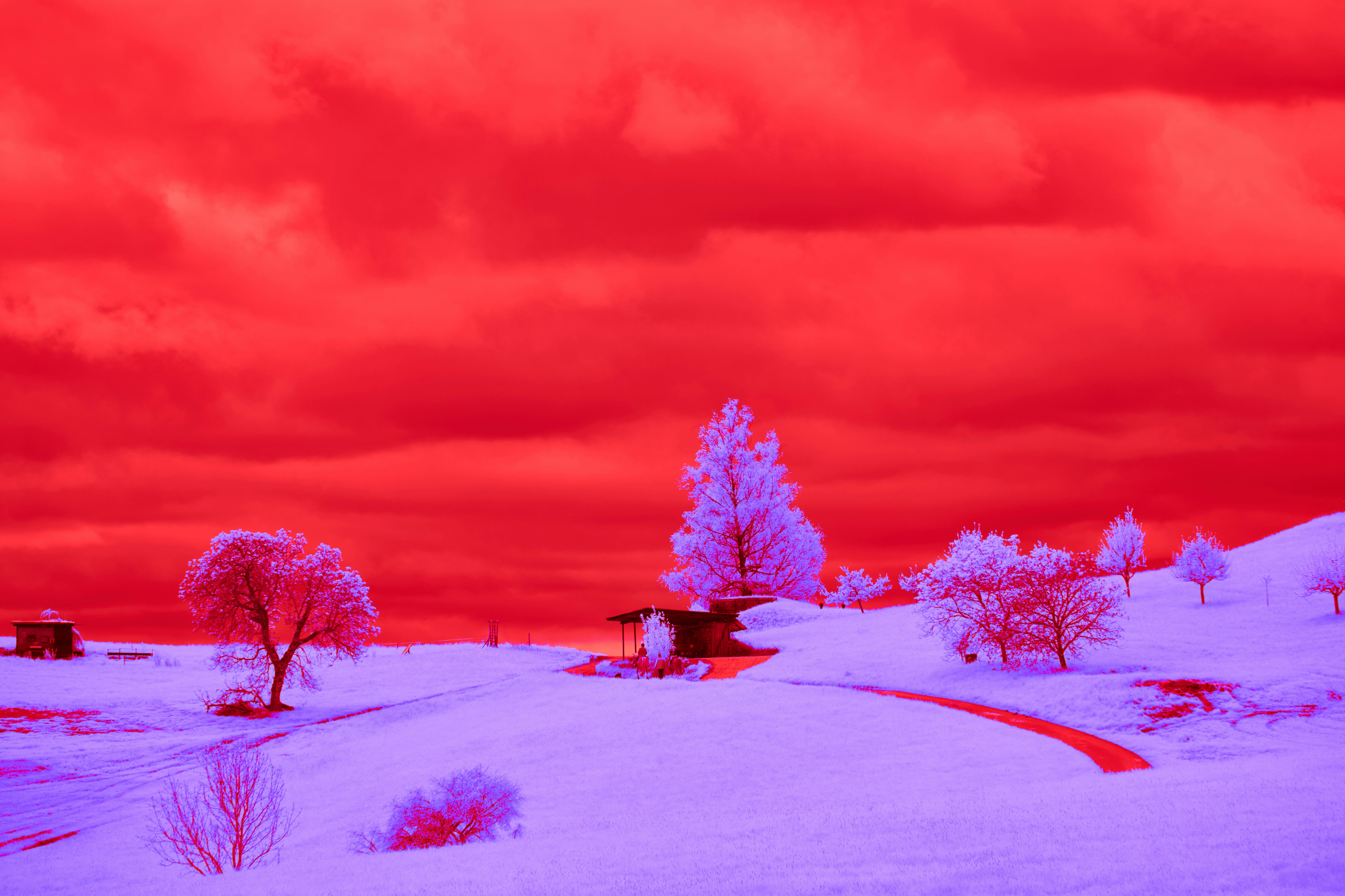 Photo by wolfgang_hasselmann