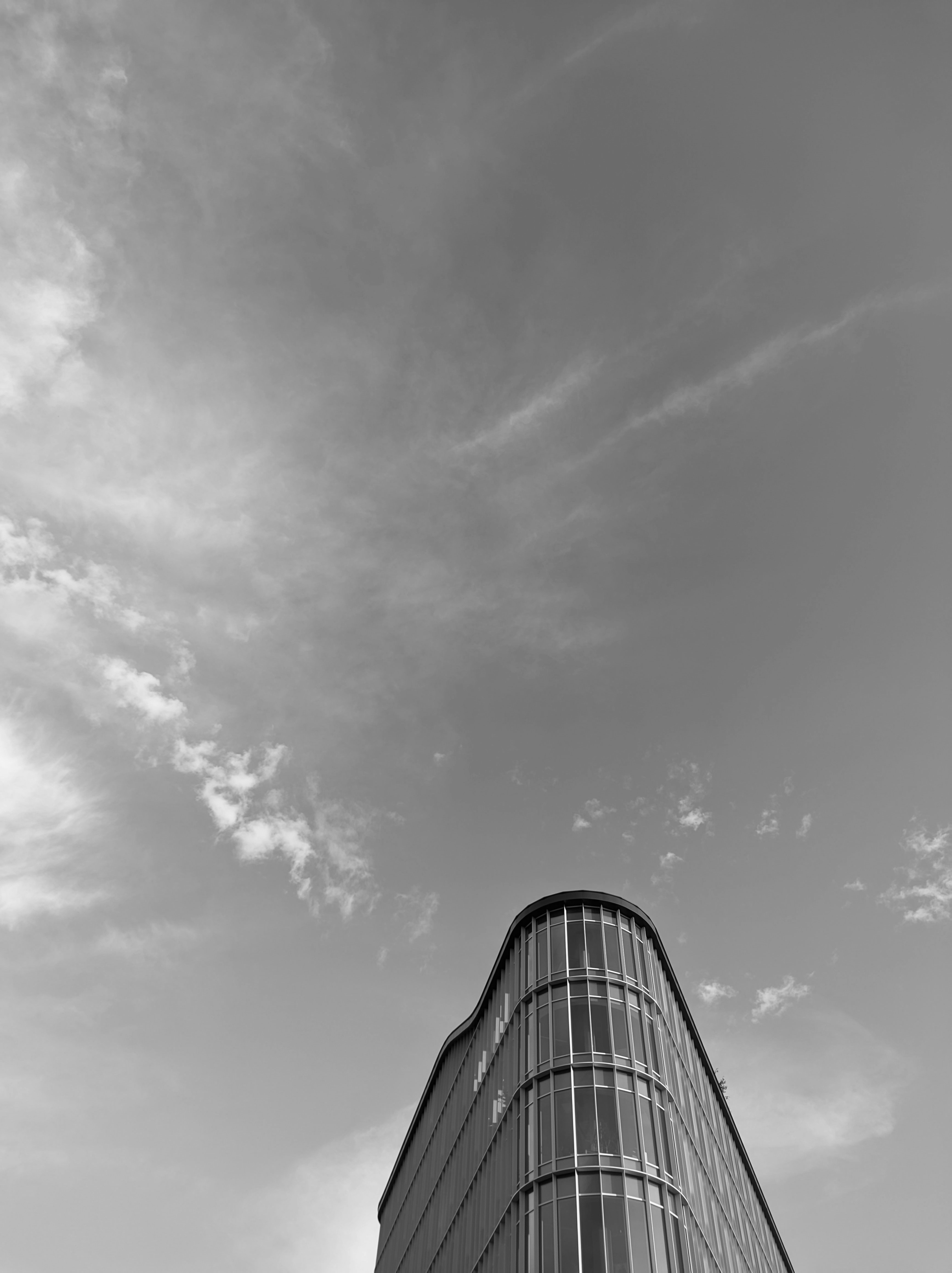 Photo by positivetourettes