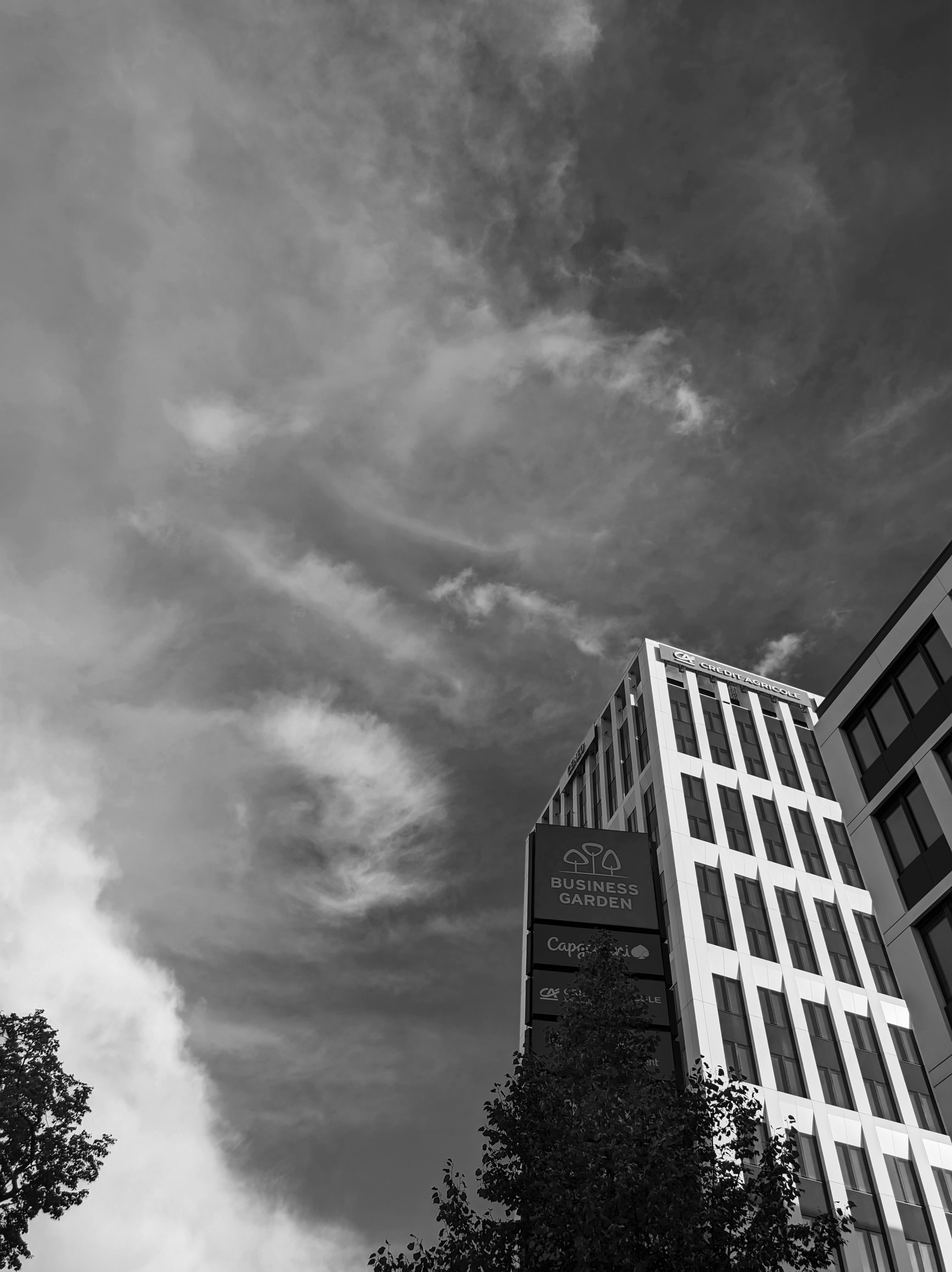 Photo by positivetourettes