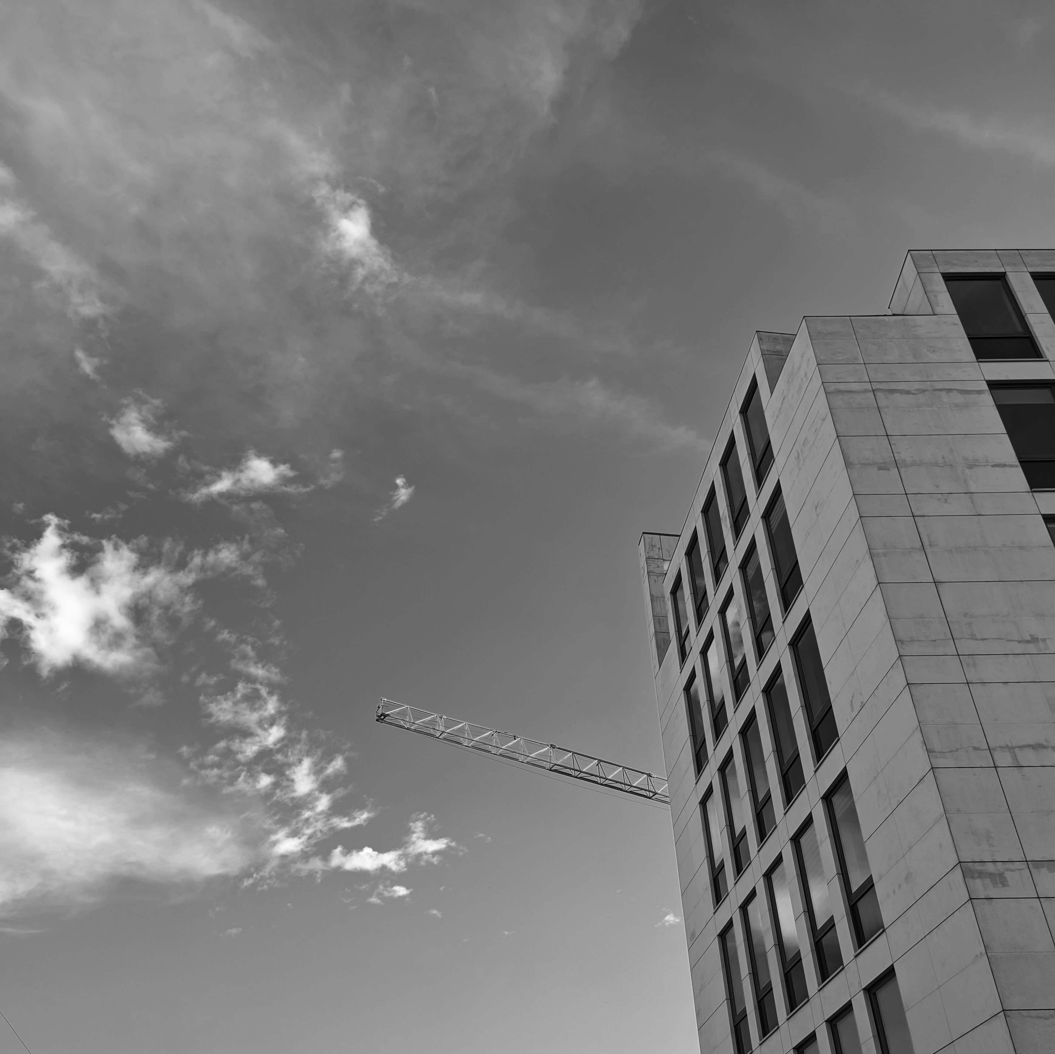 Photo by positivetourettes