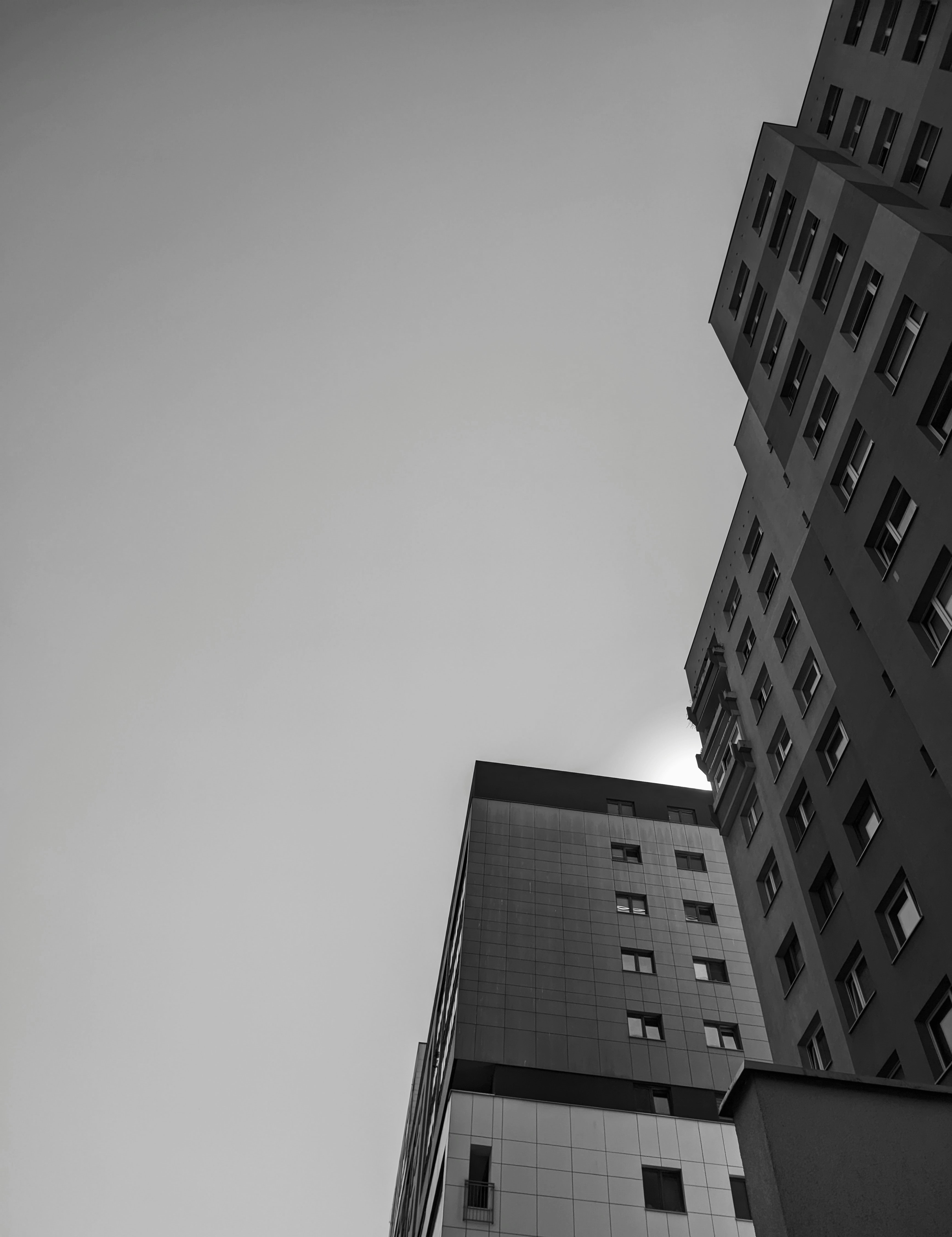 Photo by positivetourettes